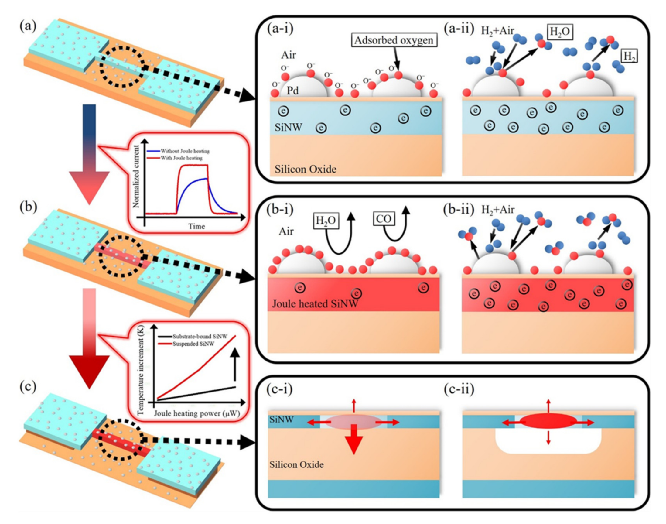 Nanomaterials 10 02215 g013