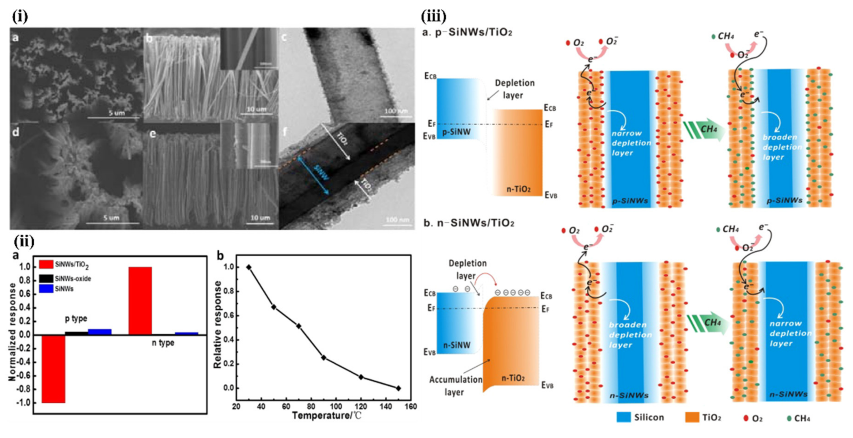 Nanomaterials 10 02215 g017