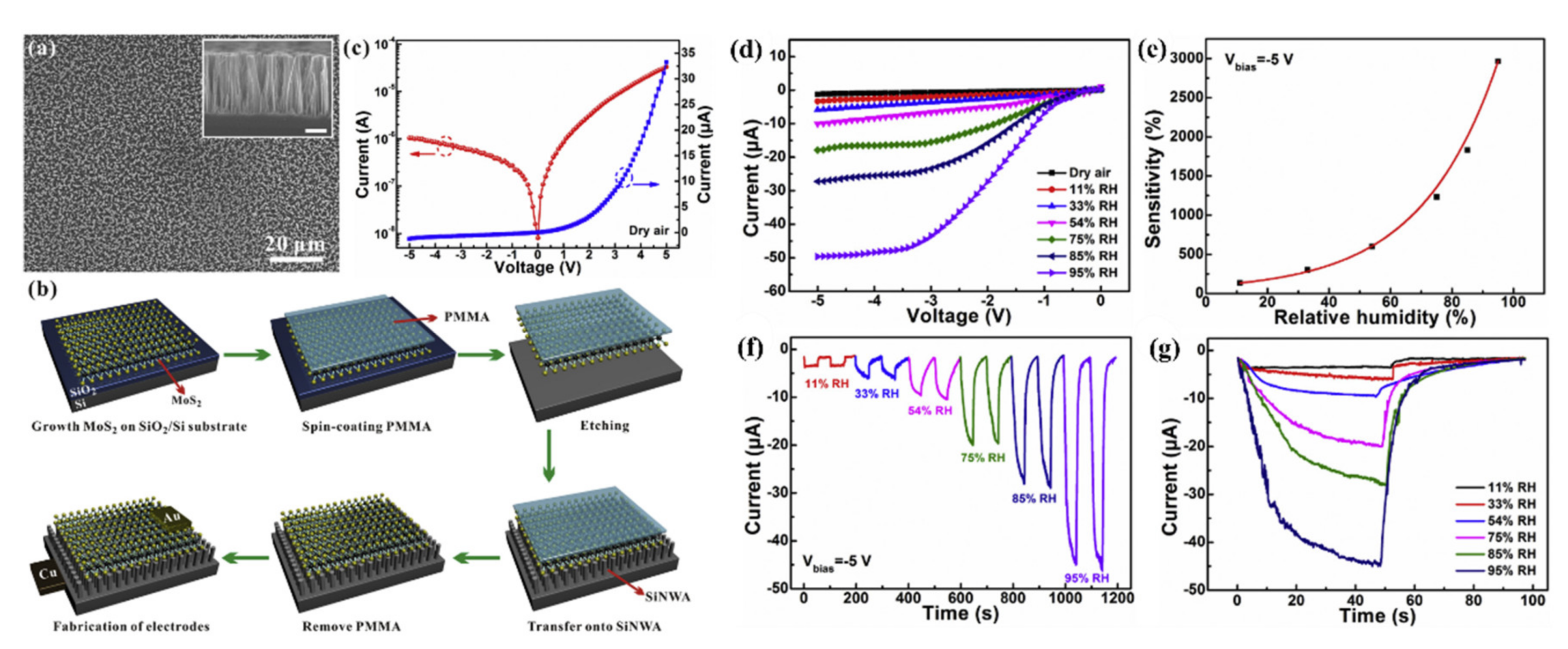 Nanomaterials 10 02215 g022