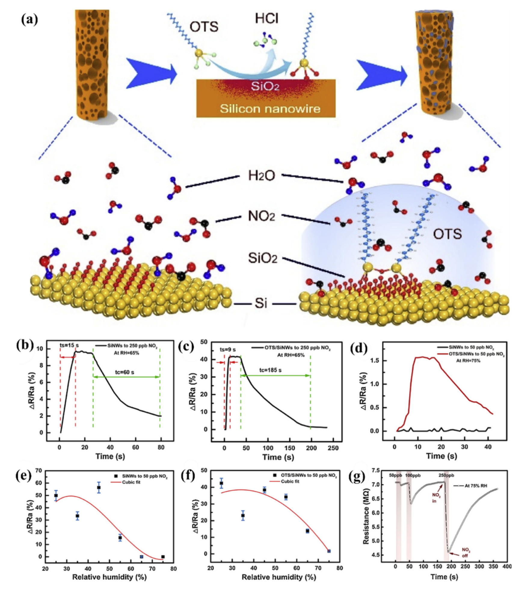 Nanomaterials 10 02215 g029