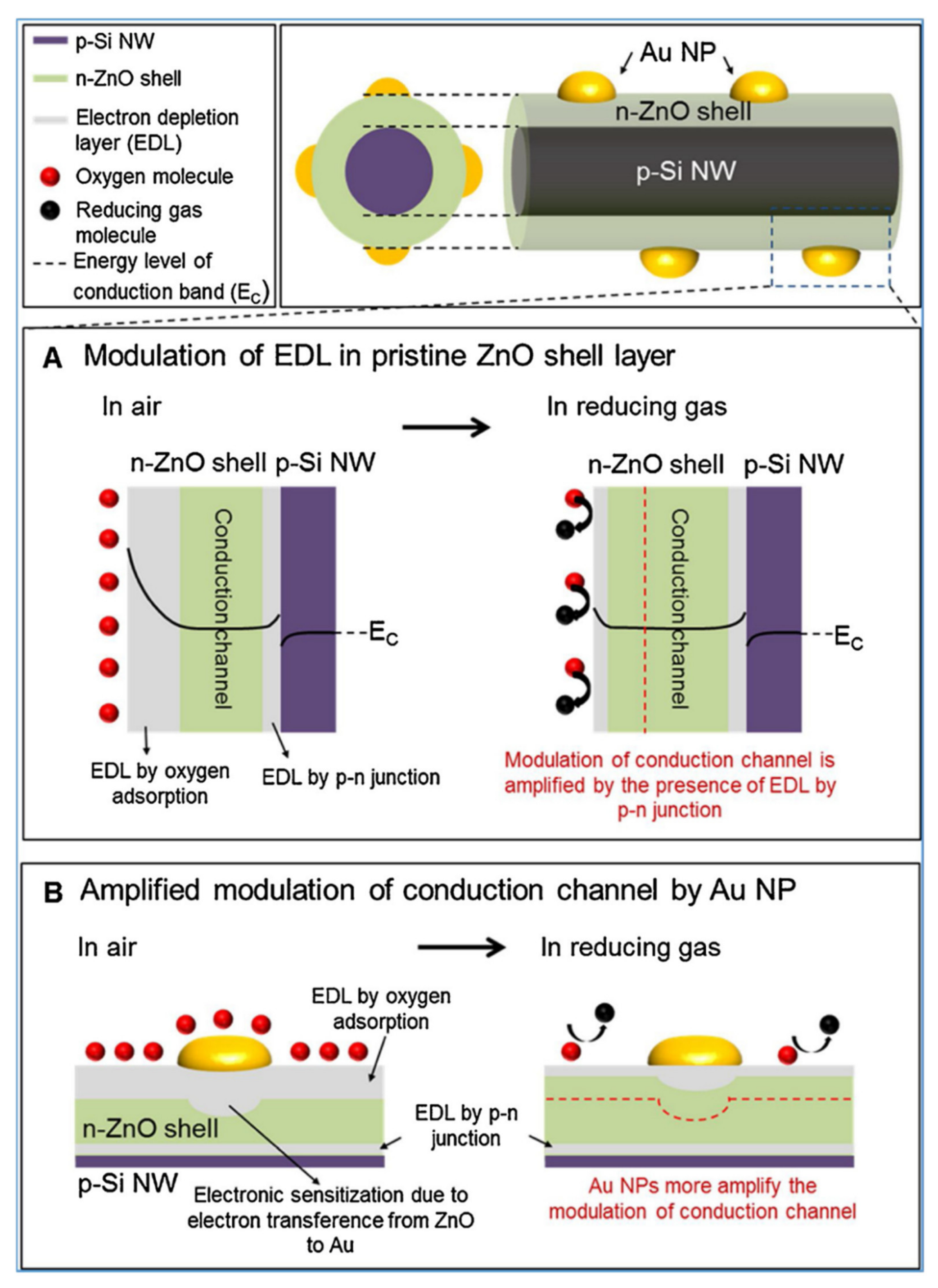 Nanomaterials 10 02215 g030