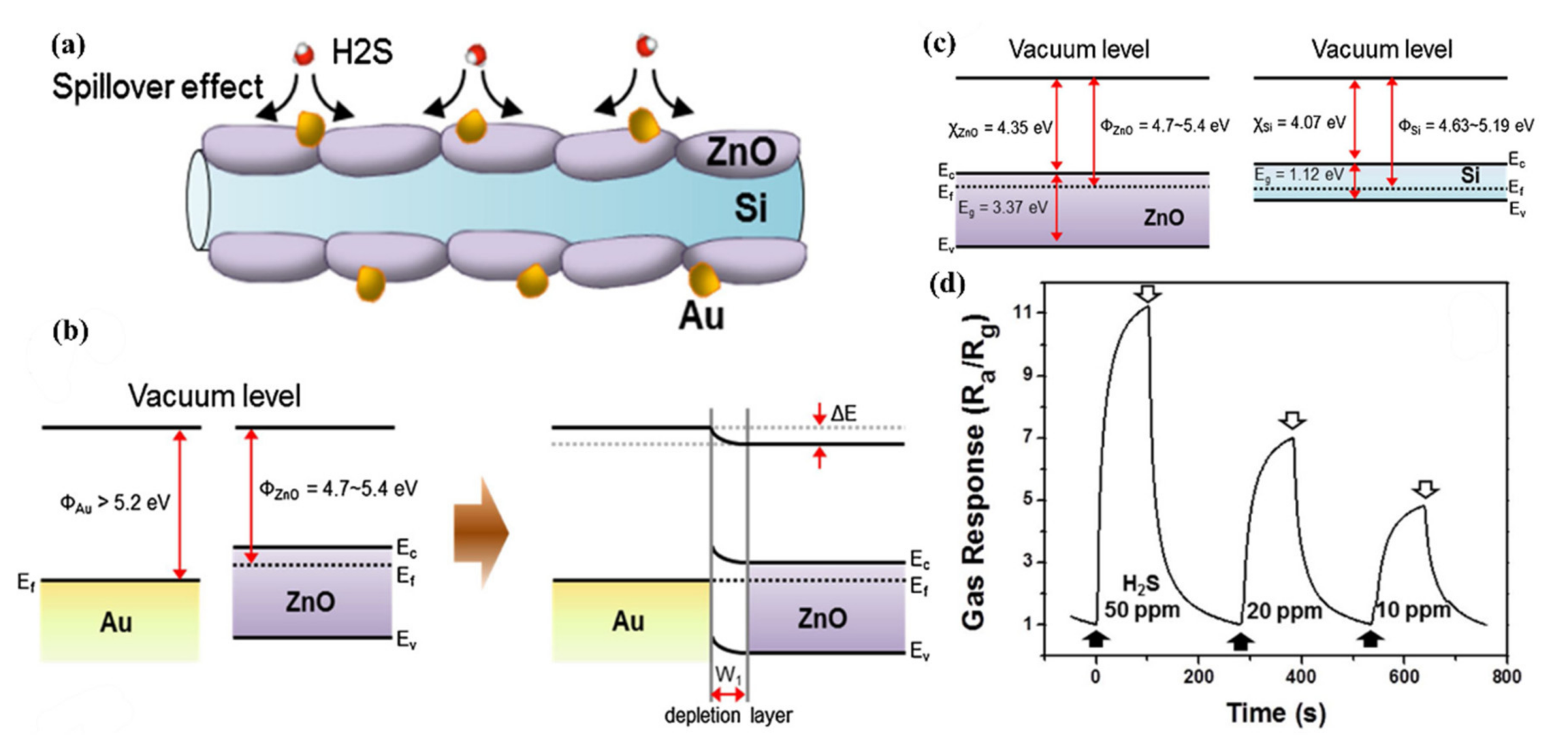 Nanomaterials 10 02215 g031