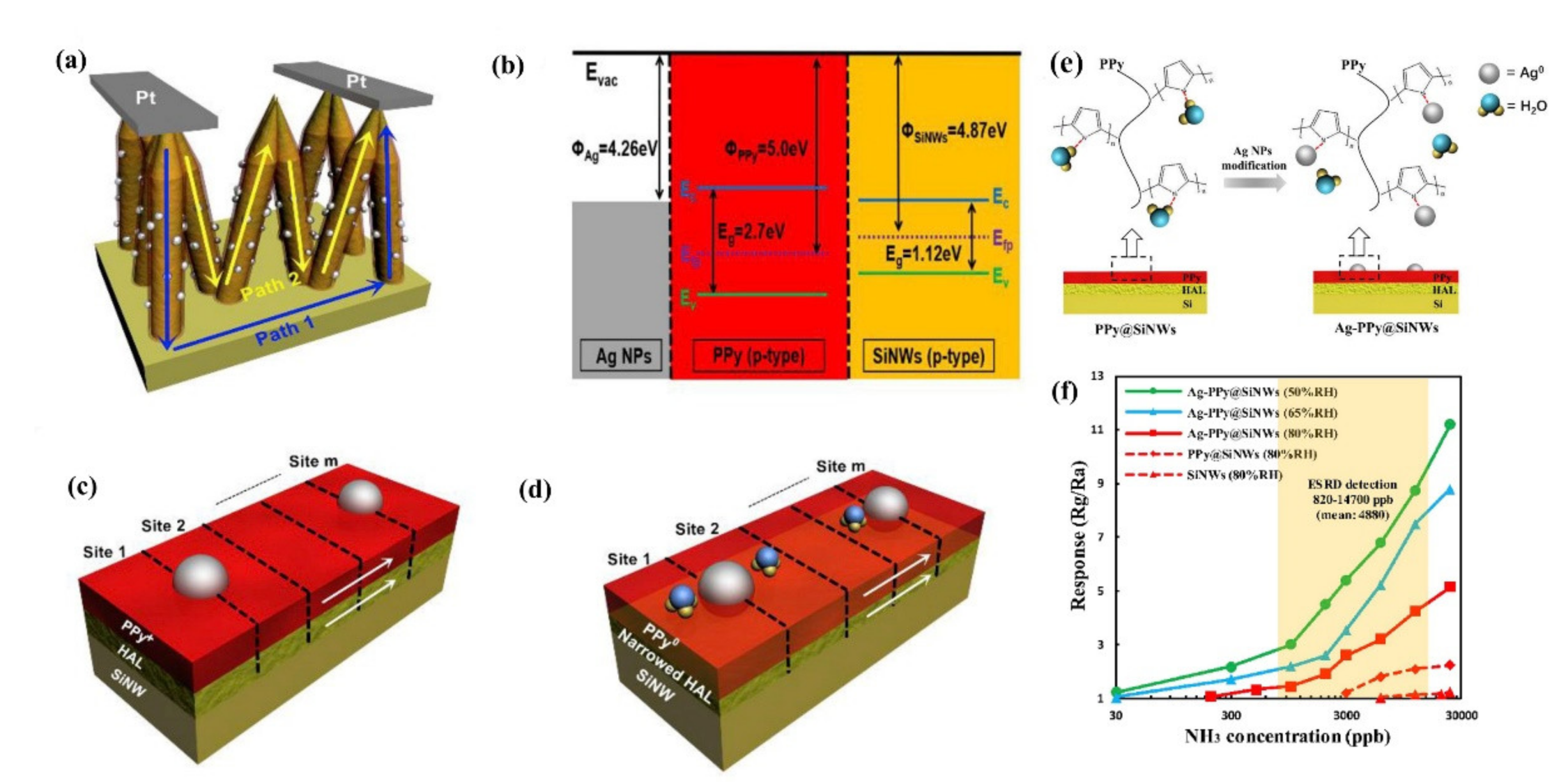Nanomaterials 10 02215 g034