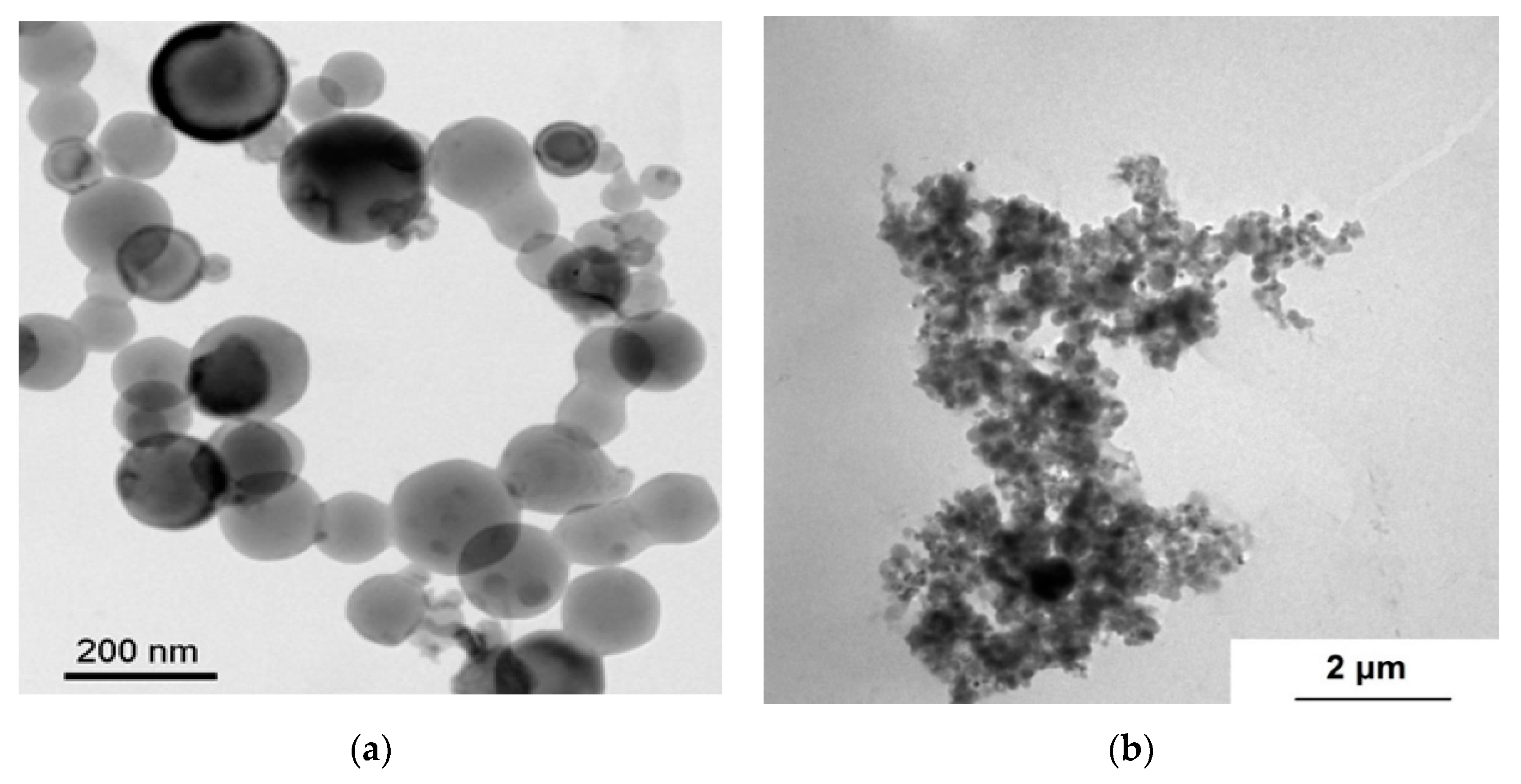 Nanomaterials 10 02222 g002