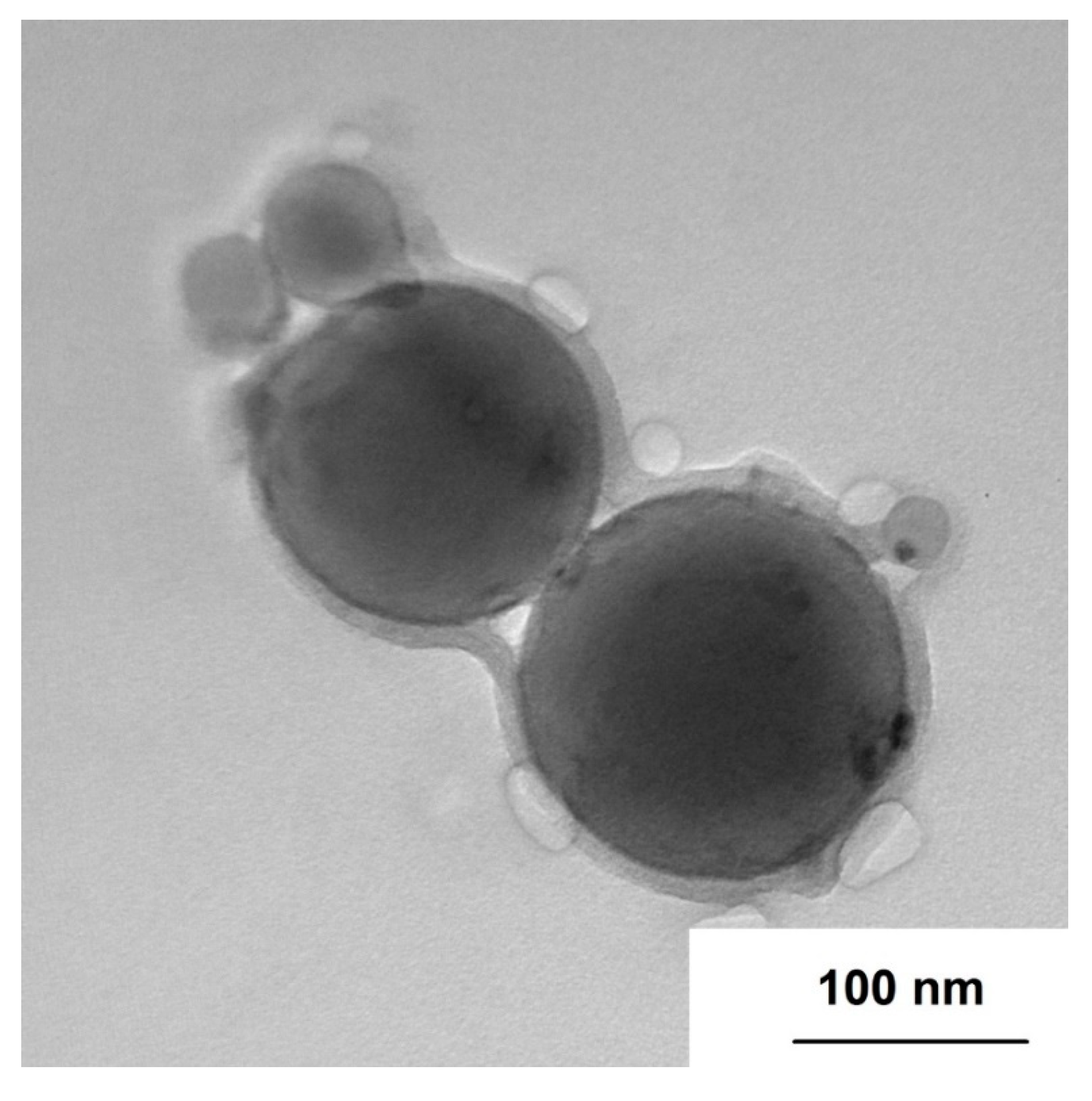 Nanomaterials 10 02222 g003