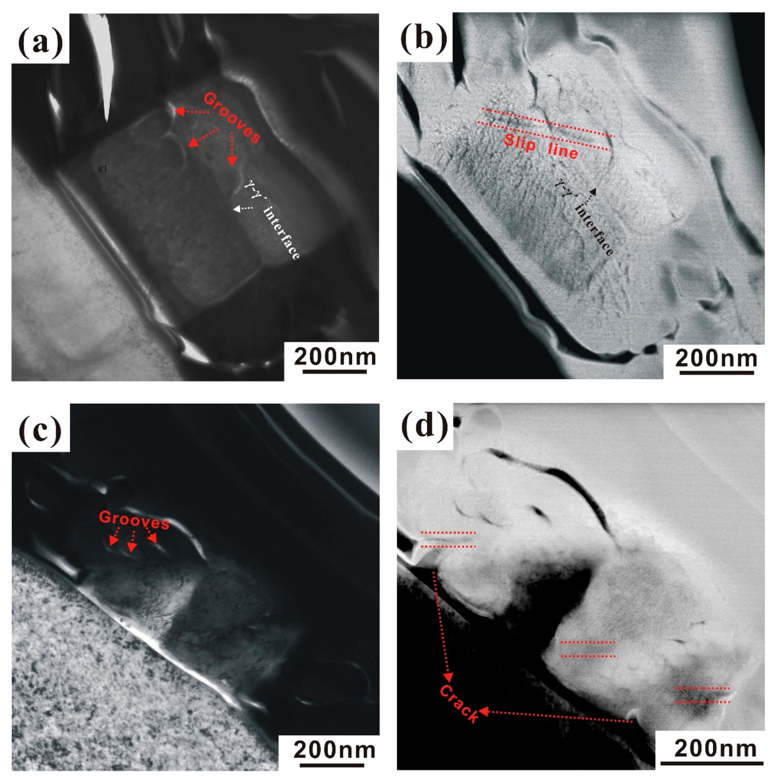 Nanomaterials 10 02230 g007 Nanomaterials 10 02230 g007