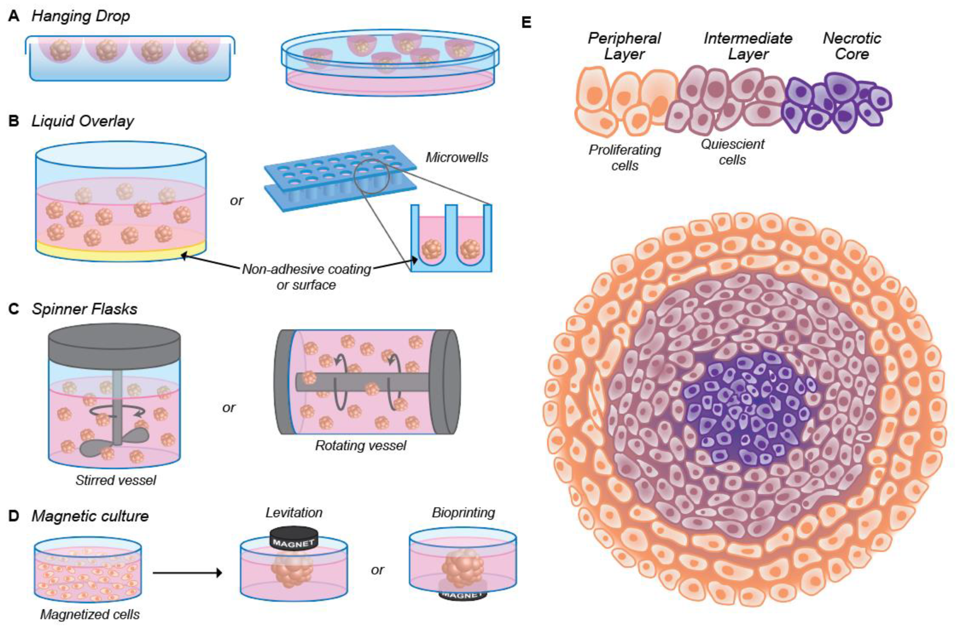 Nanomaterials 10 02236 g001