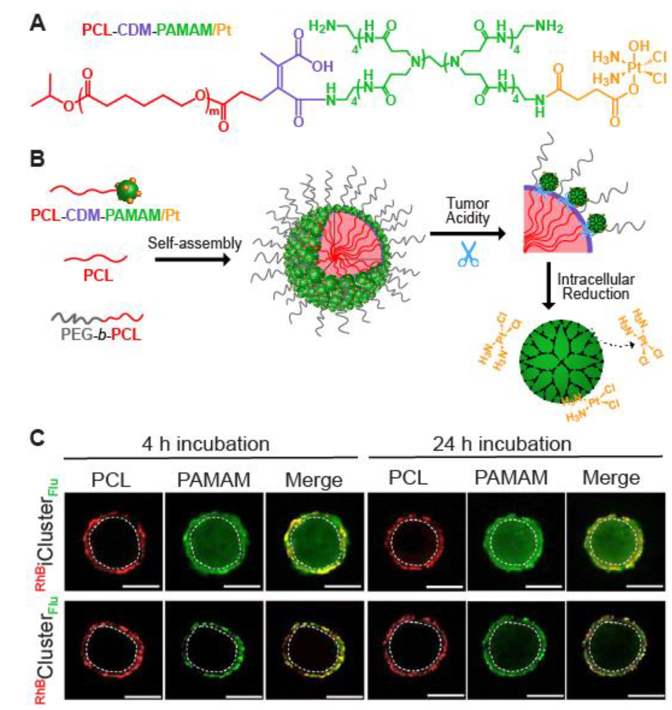 Nanomaterials 10 02236 g003