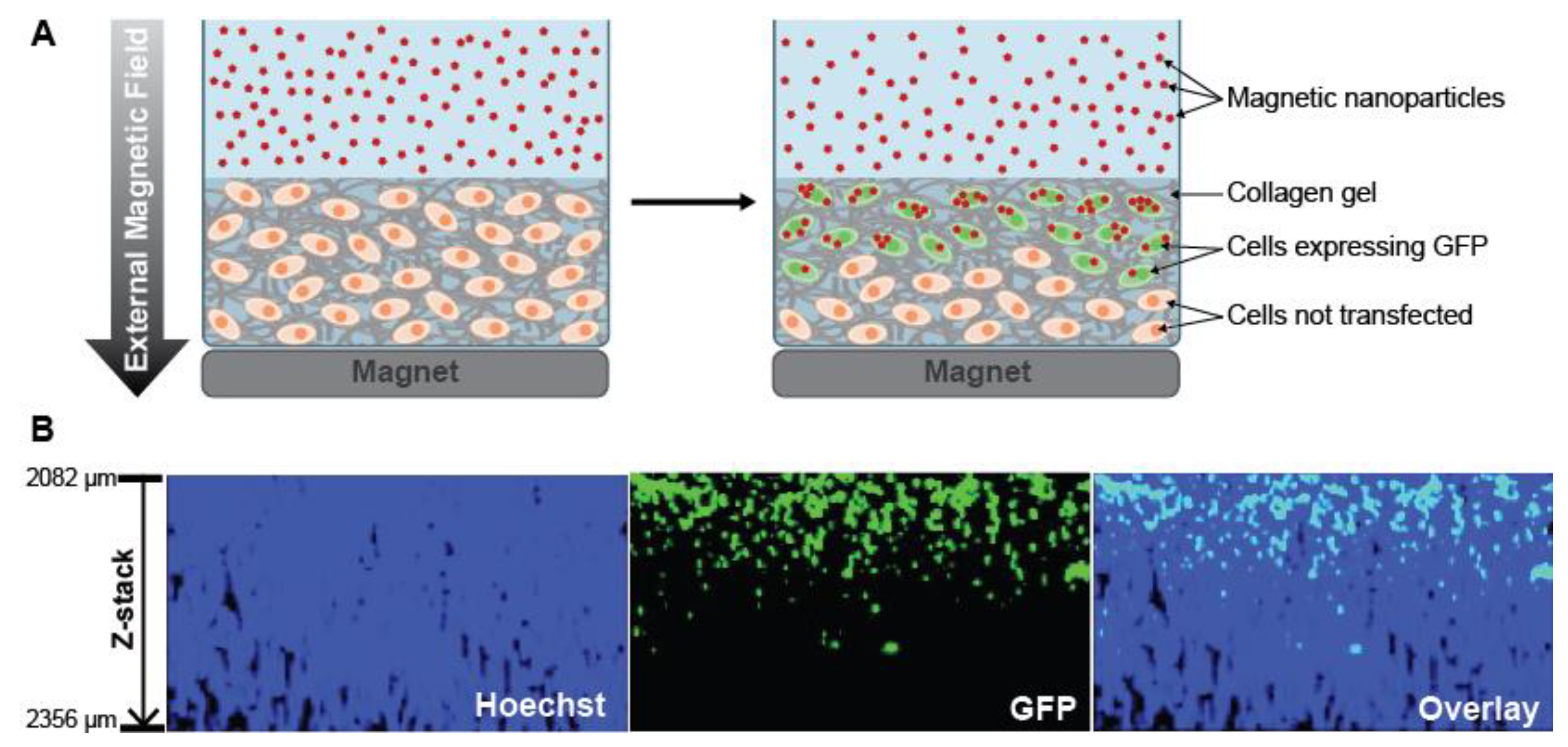 Nanomaterials 10 02236 g004