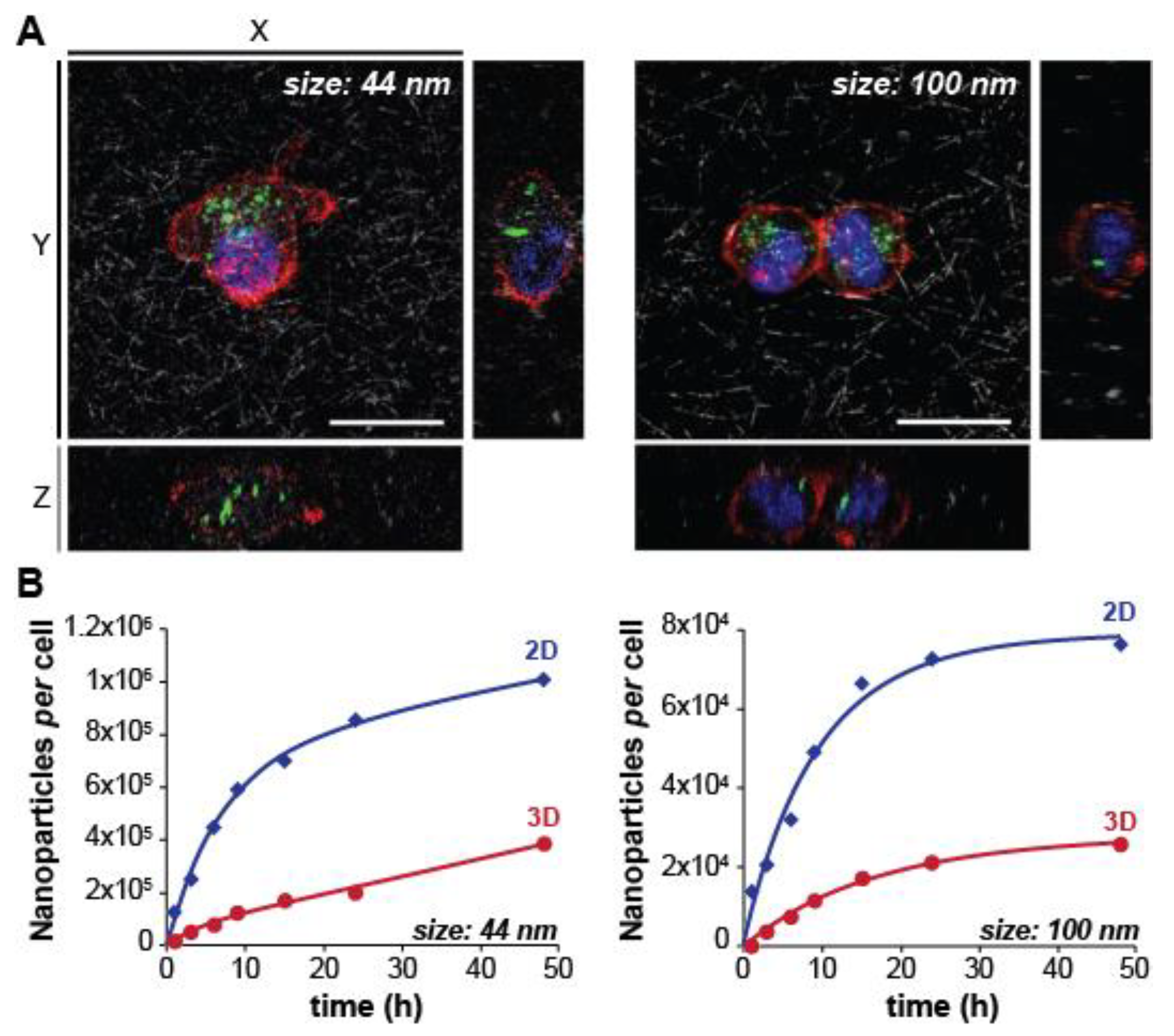 Nanomaterials 10 02236 g006