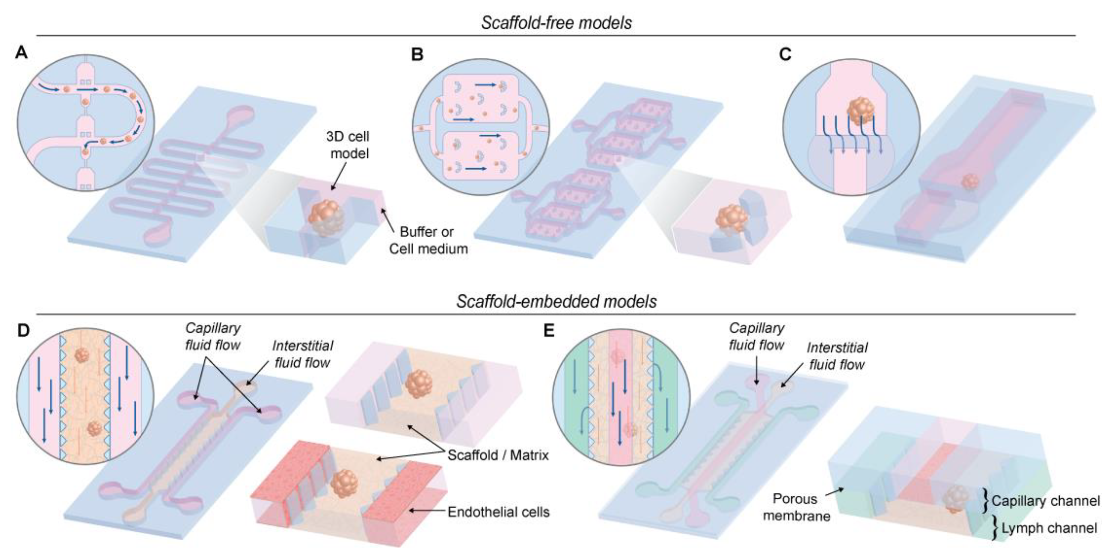 Nanomaterials 10 02236 g007