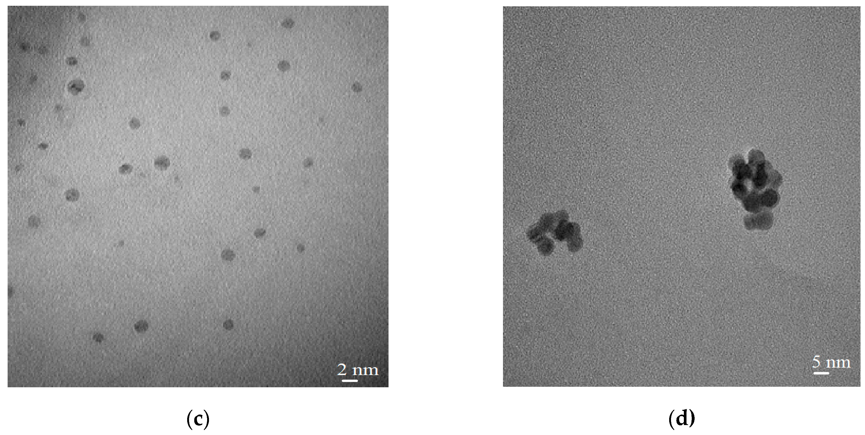 Nanomaterials 10 02238 g003b