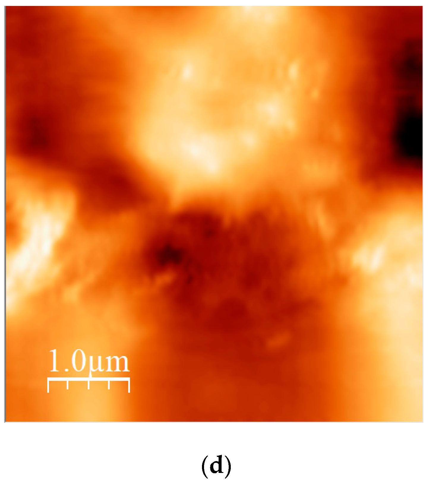 Nanomaterials 10 02238 g011b