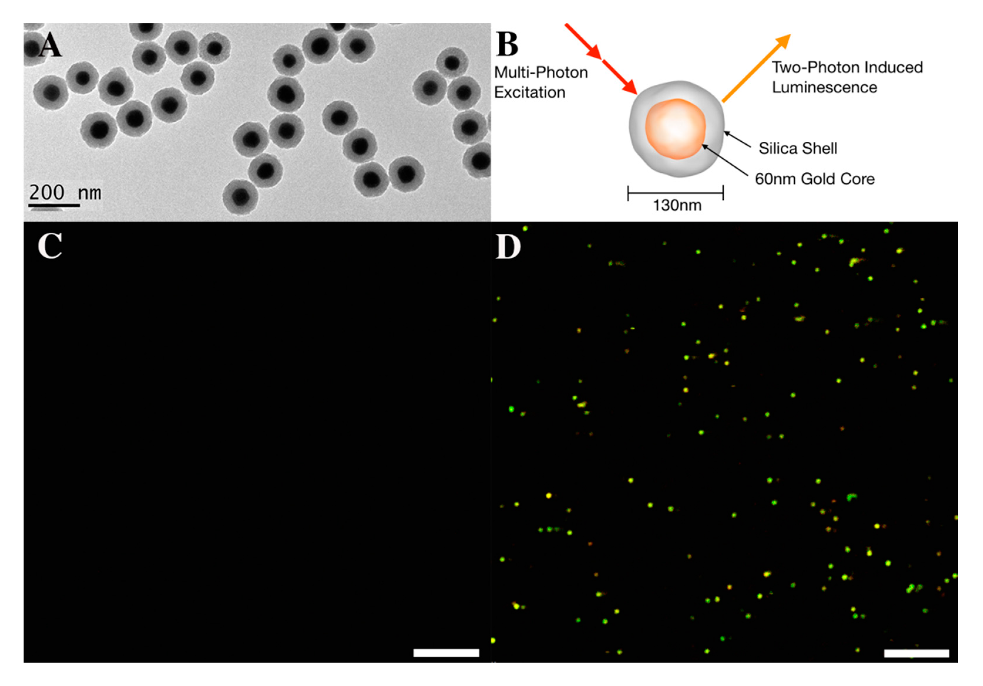 Nanomaterials 10 02239 g001