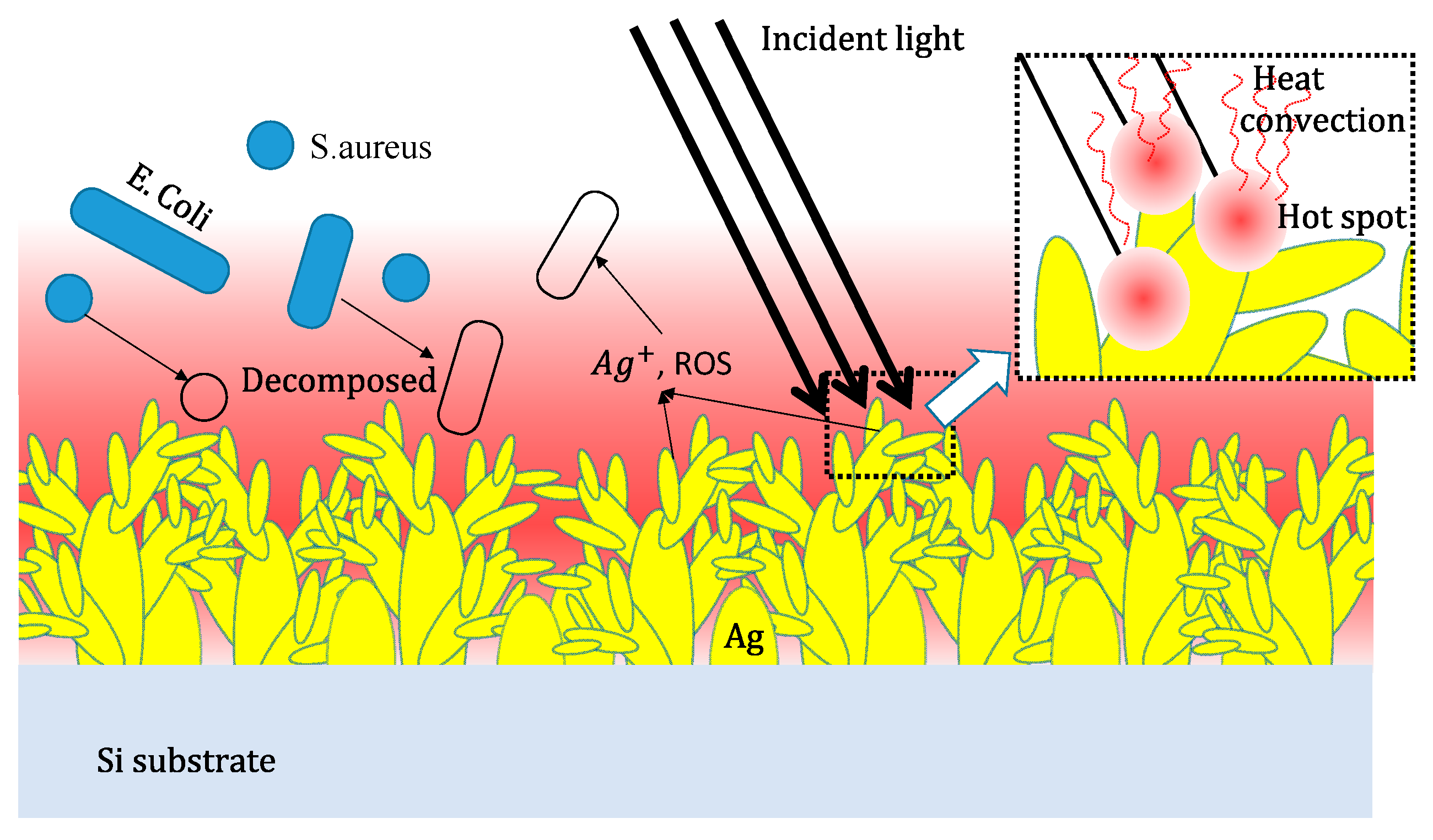 Nanomaterials 10 02244 g009