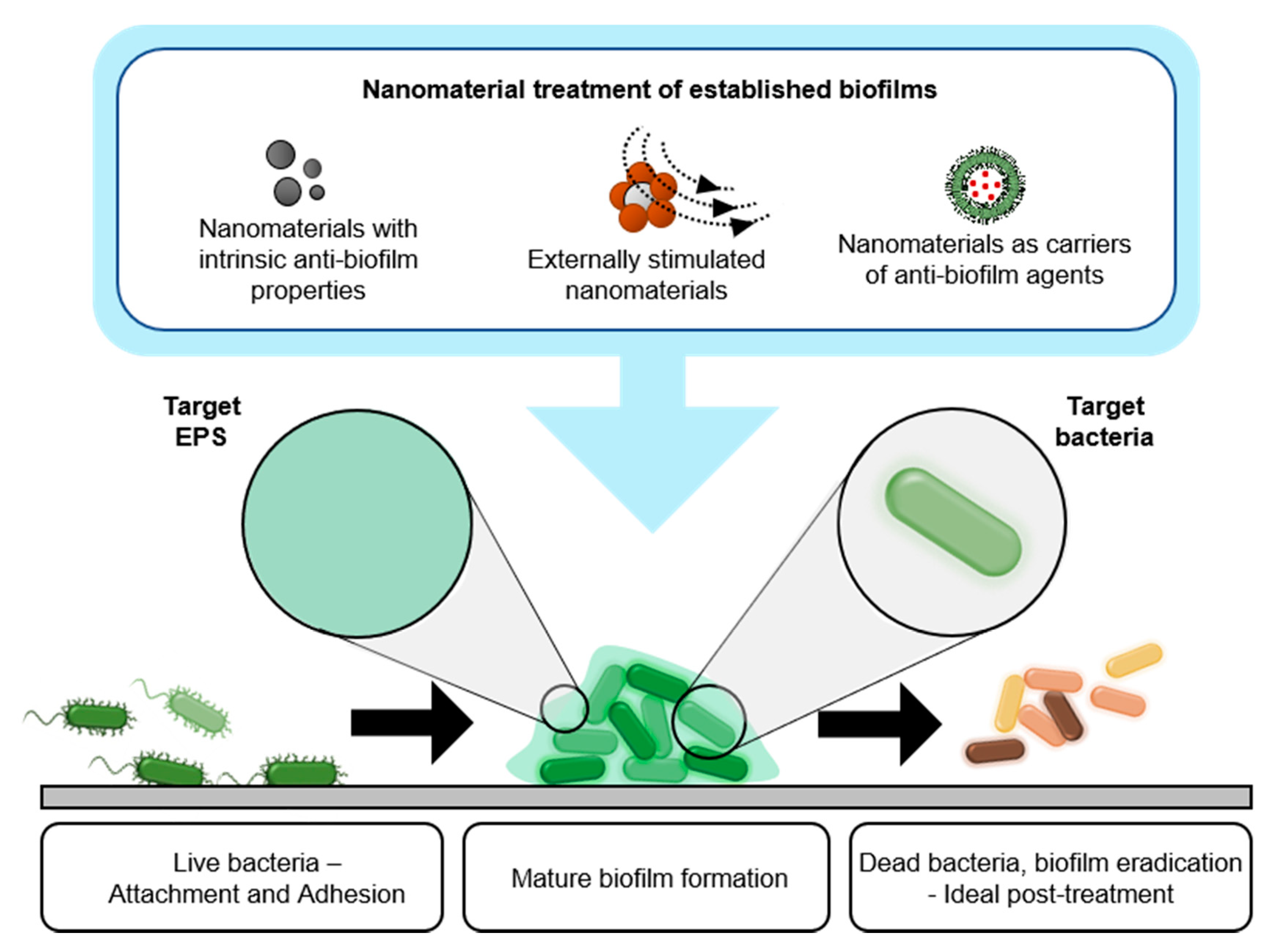 Nanomaterials 10 02253 g002 Nanomaterials 10 02253 g002