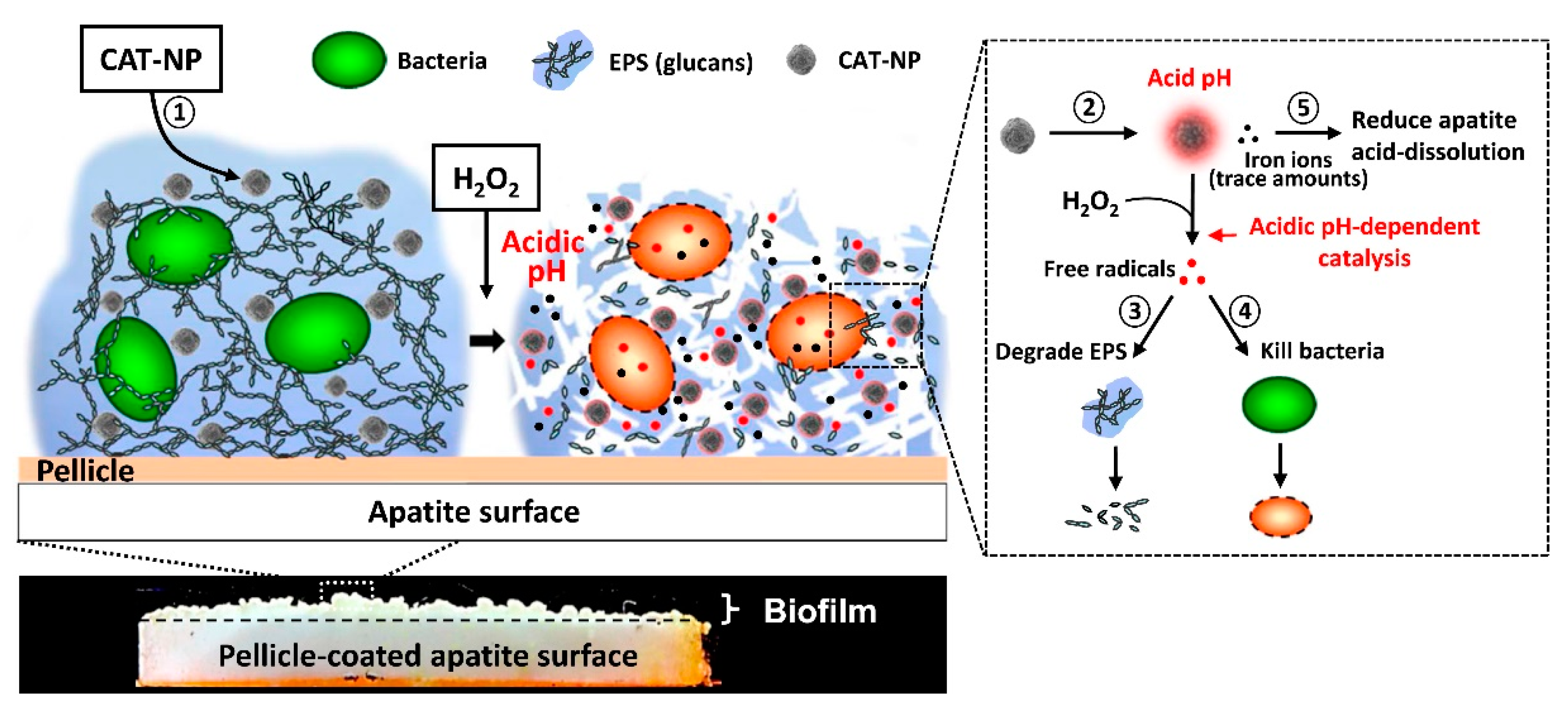 Nanomaterials 10 02253 g005 Nanomaterials 10 02253 g005