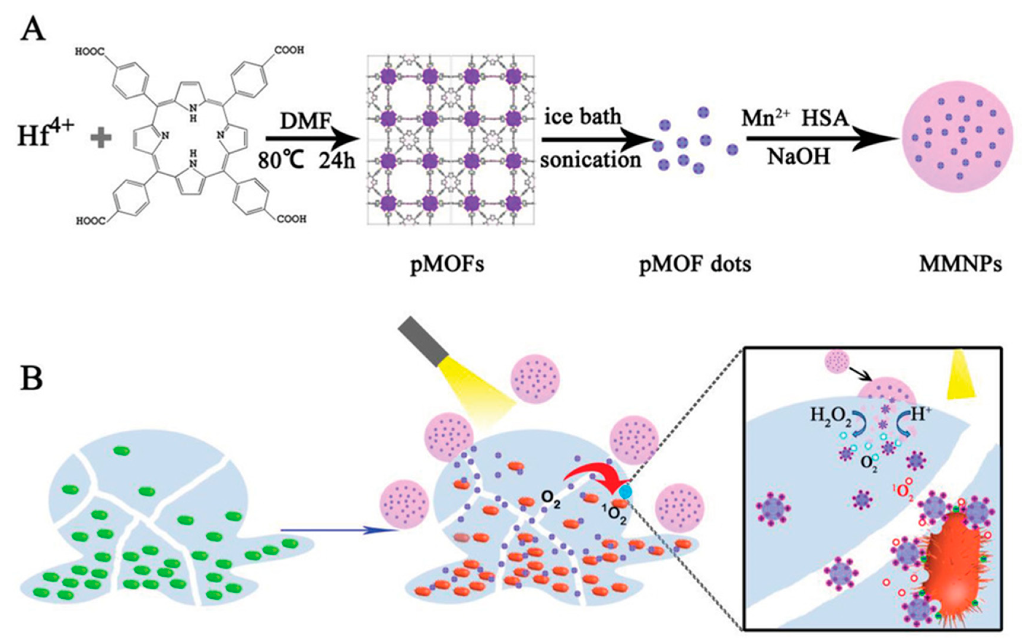 Nanomaterials 10 02253 g007 Nanomaterials 10 02253 g007