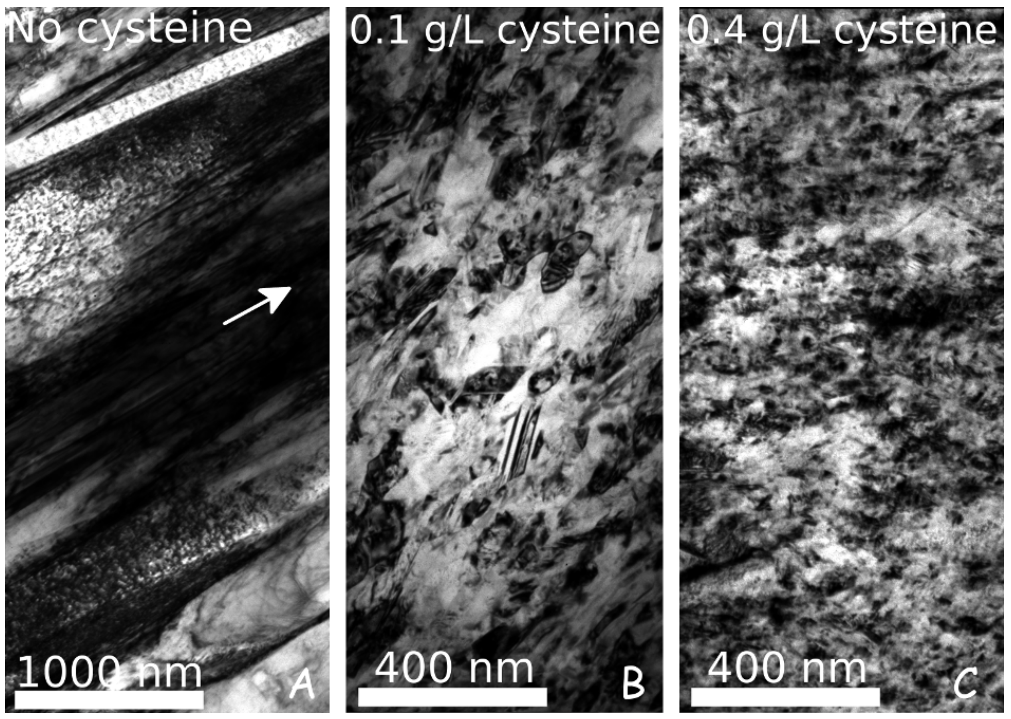 Nanomaterials 10 02254 g001