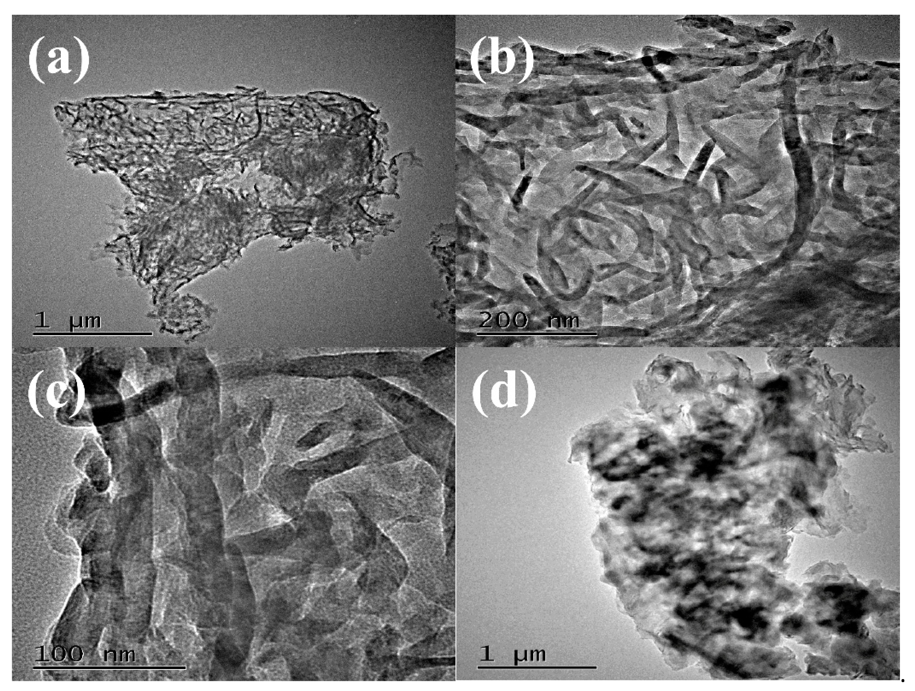 Nanomaterials 10 02256 g003