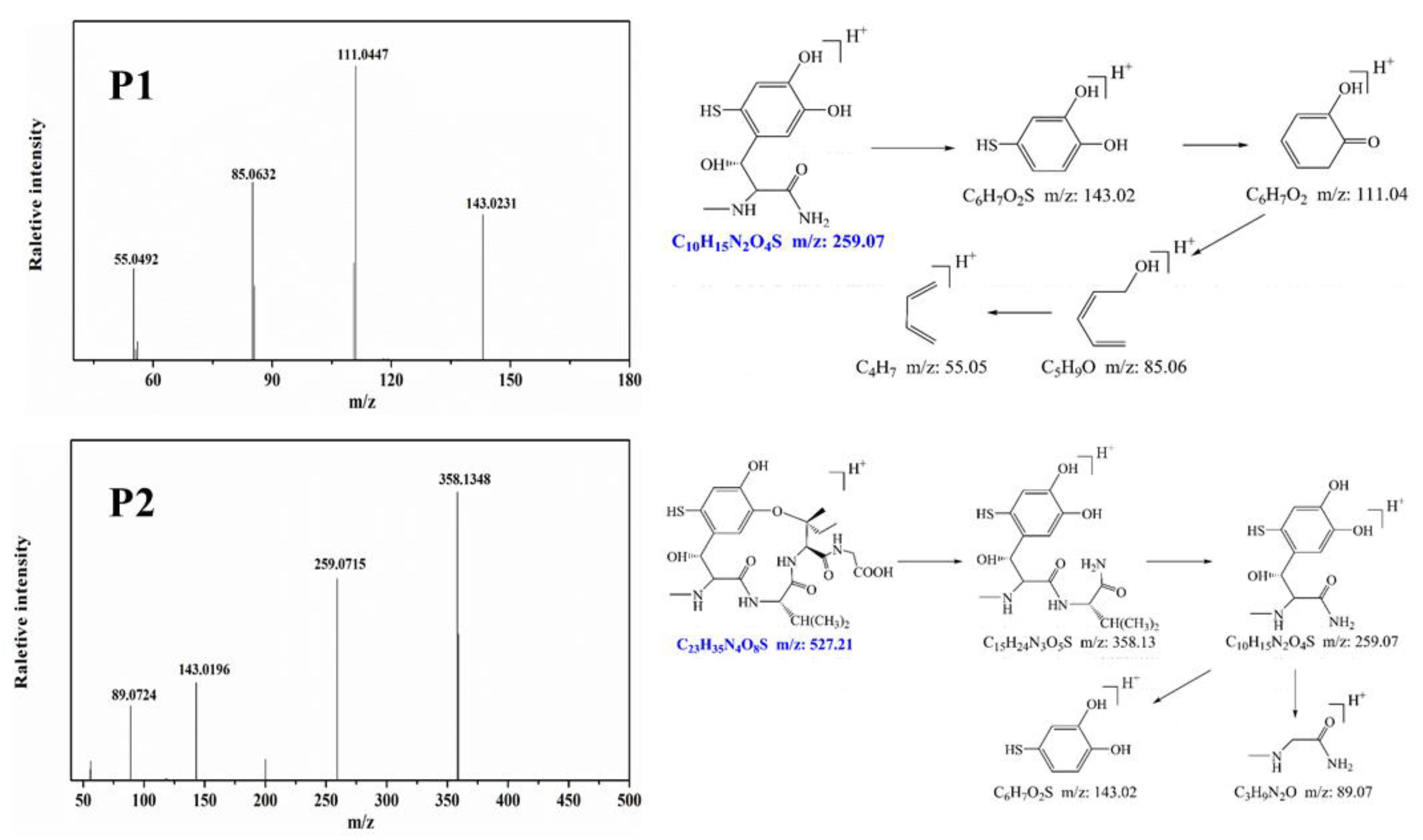 Nanomaterials 10 02256 g008