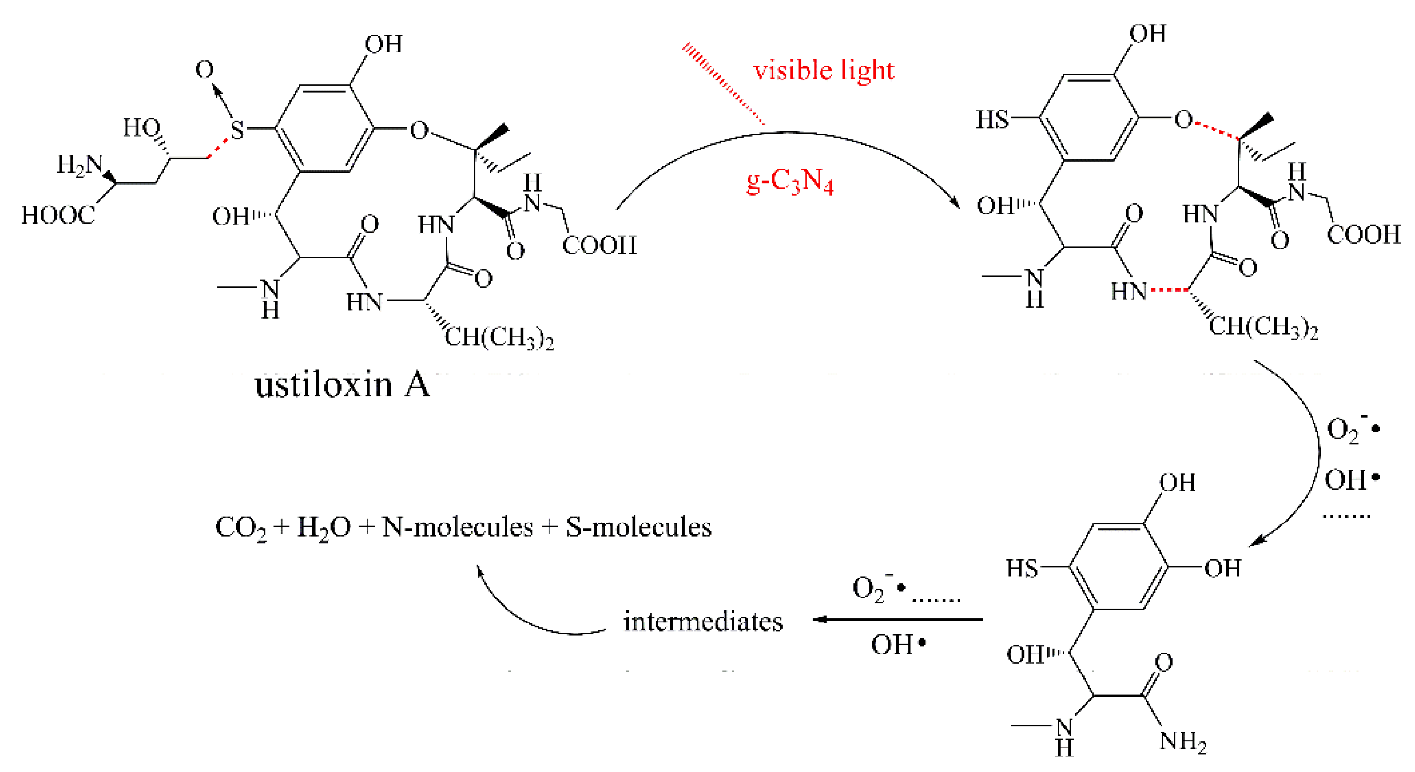 Nanomaterials 10 02256 g009