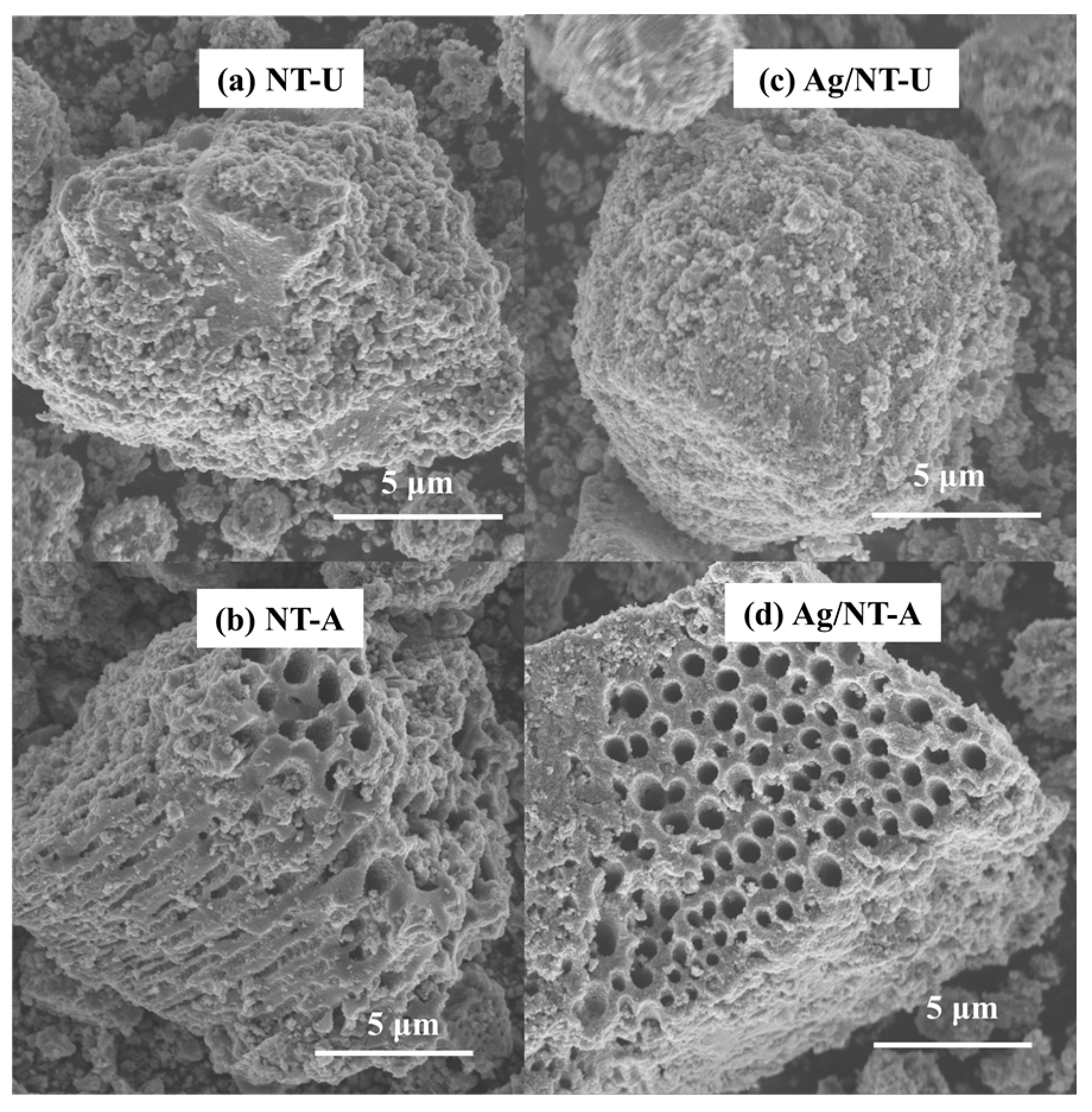 Nanomaterials 10 02261 g004