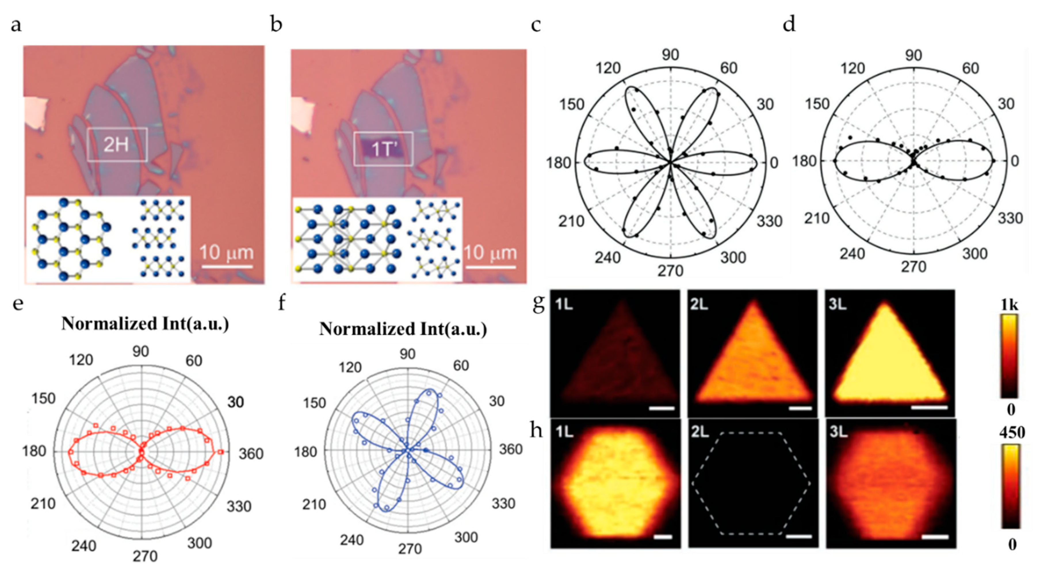 Nanomaterials 10 02263 g007