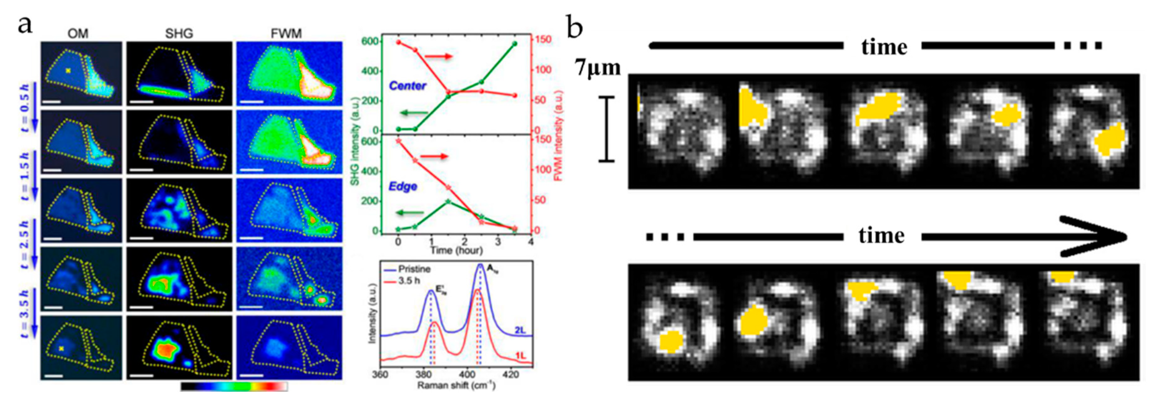Nanomaterials 10 02263 g012