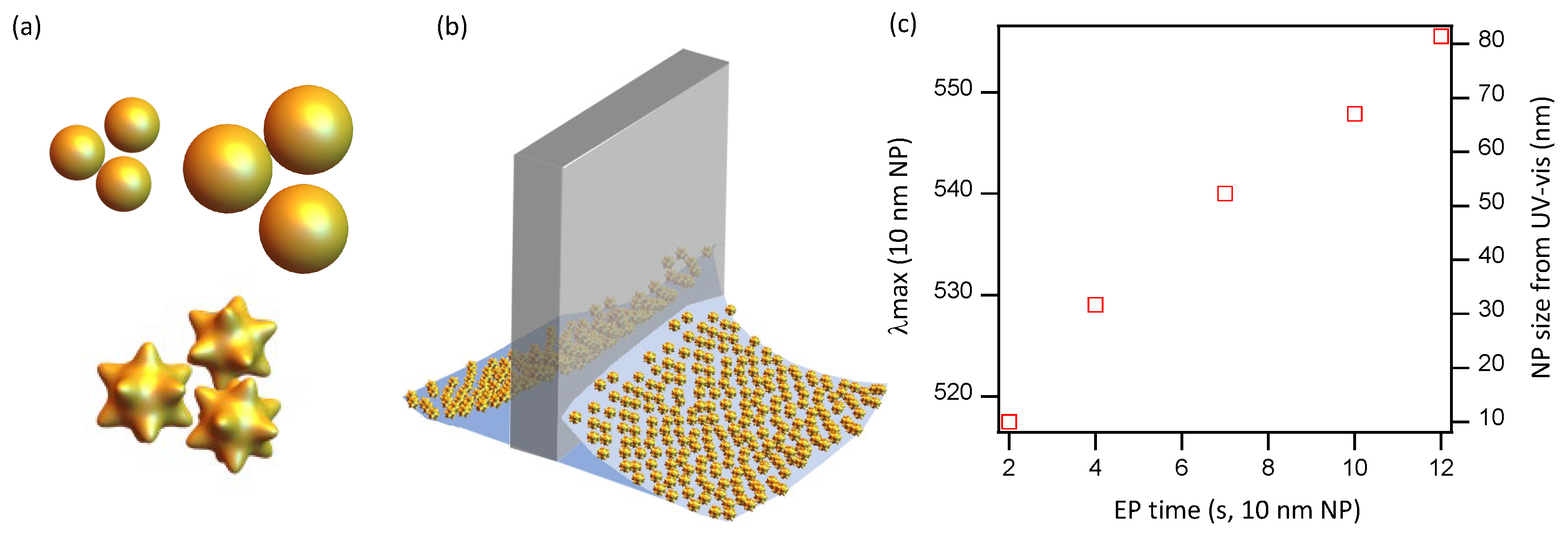 Nanomaterials 10 02264 g001