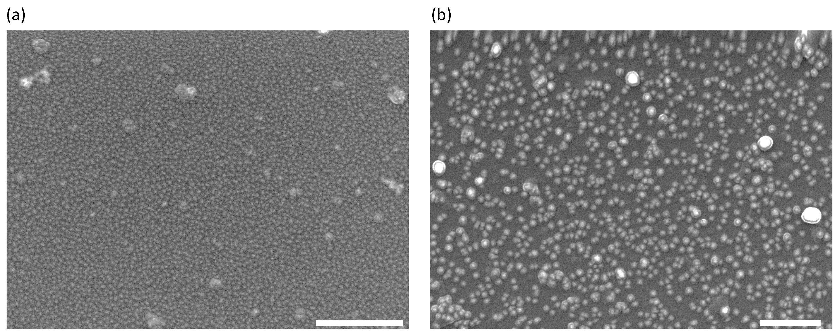 Nanomaterials 10 02264 g002