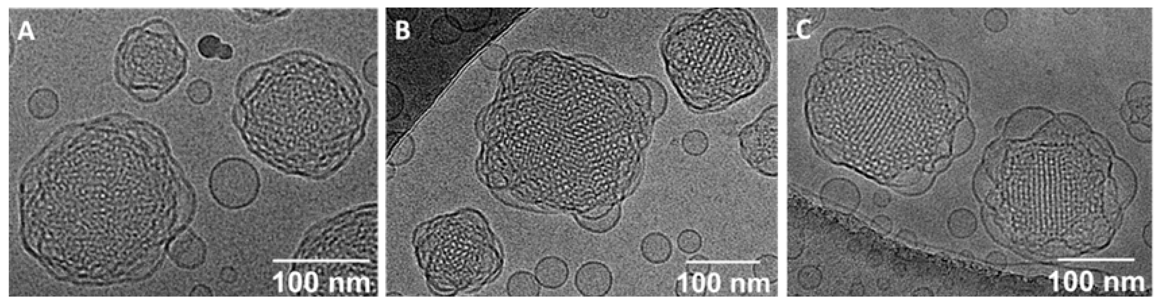 Nanomaterials 10 02272 g004