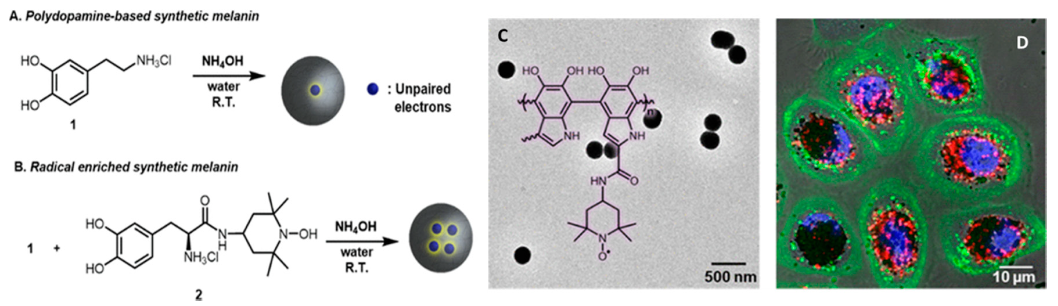 Nanomaterials 10 02276 g004 Nanomaterials 10 02276 g004