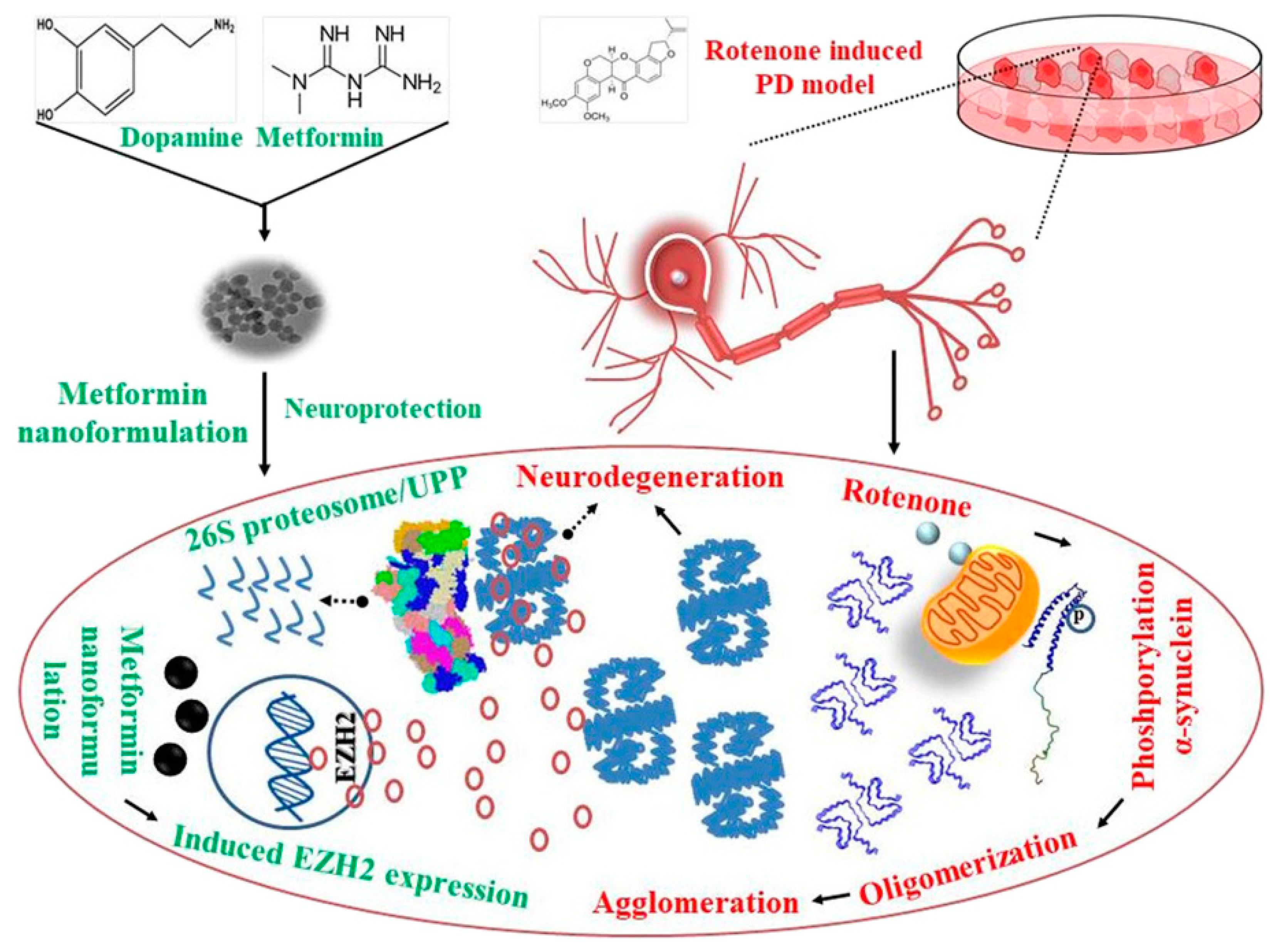 Nanomaterials 10 02276 g010 Nanomaterials 10 02276 g010