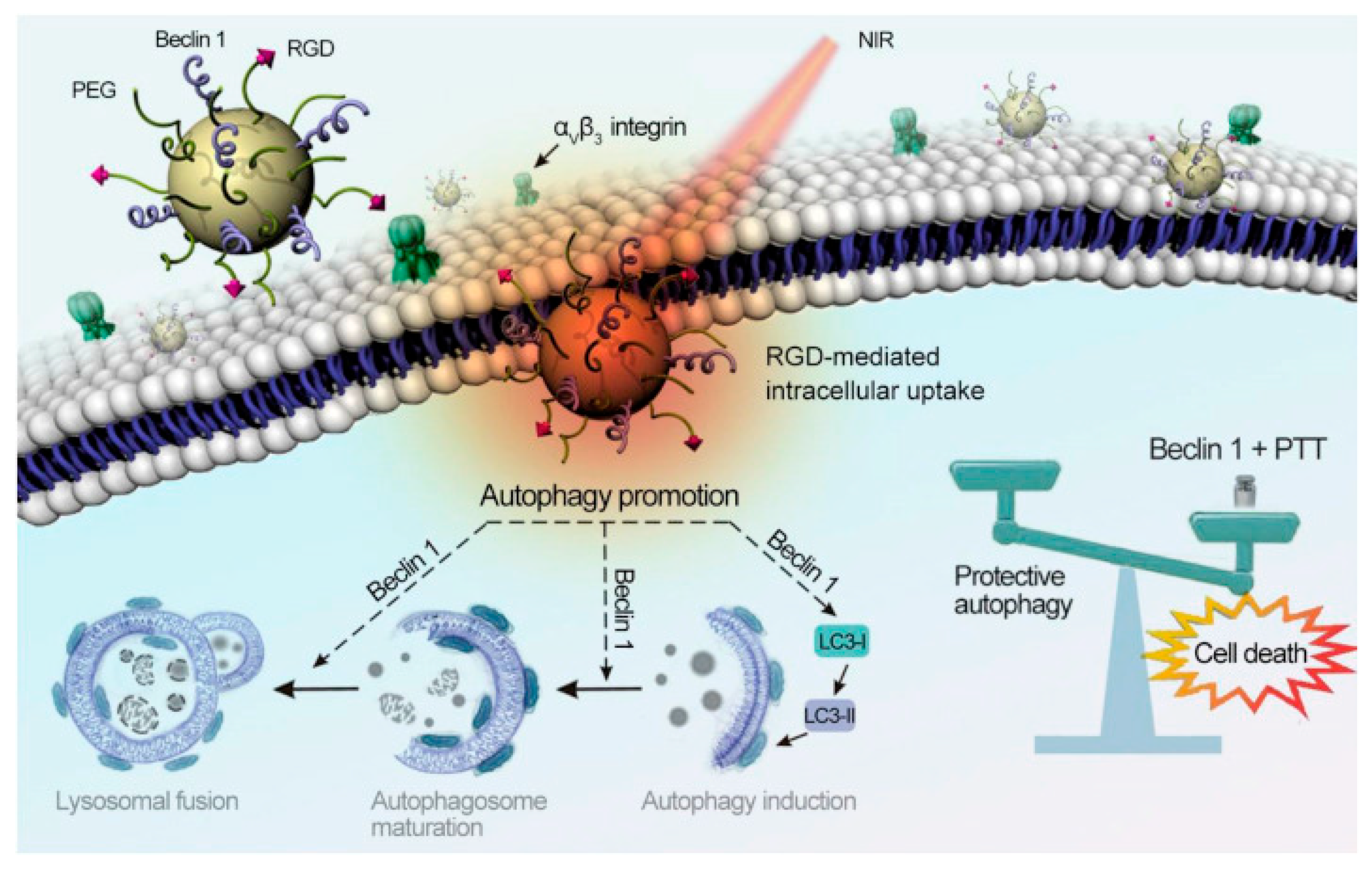 Nanomaterials 10 02276 g012 Nanomaterials 10 02276 g012