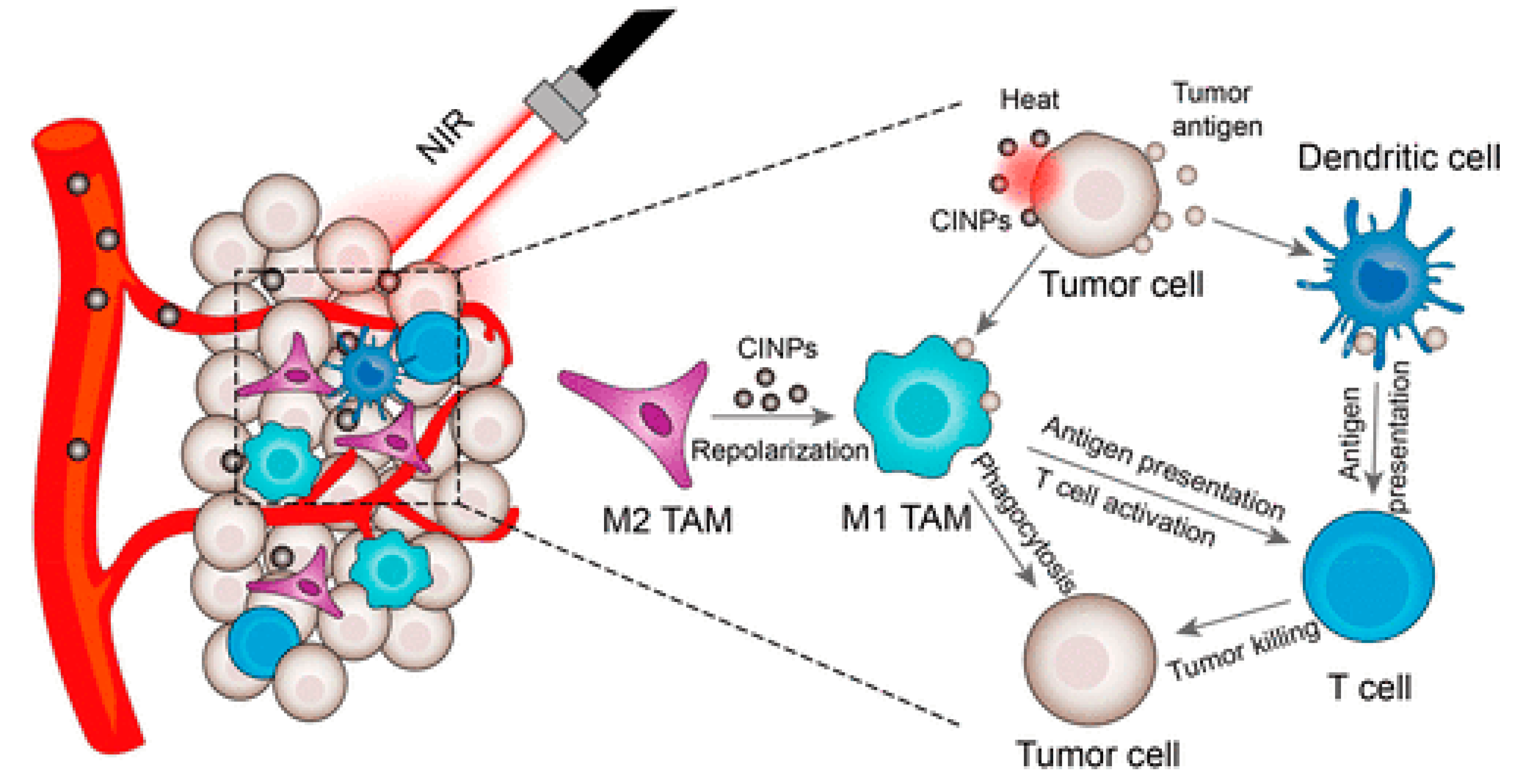 Nanomaterials 10 02276 g013 Nanomaterials 10 02276 g013