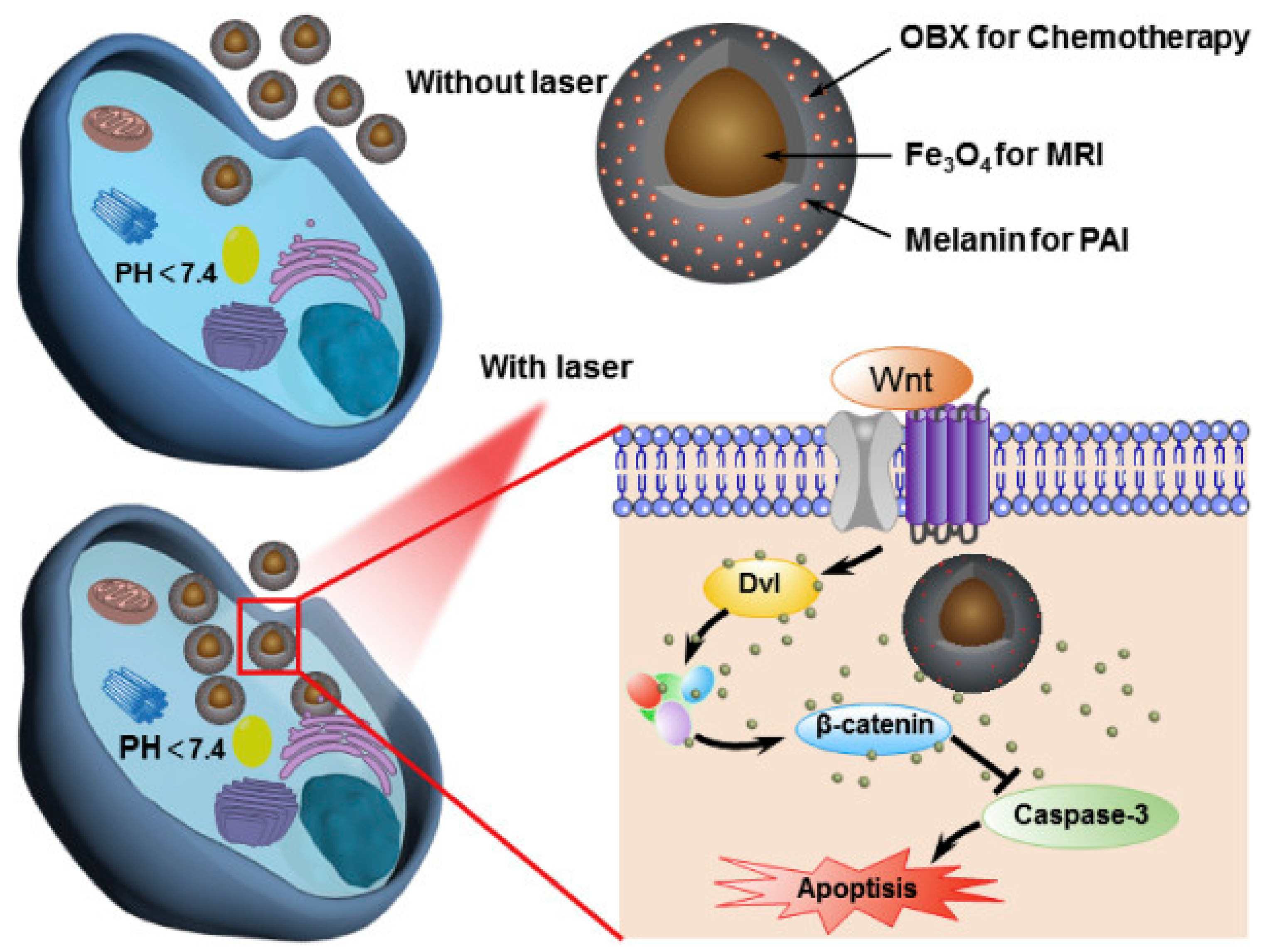 Nanomaterials 10 02276 g014 Nanomaterials 10 02276 g014