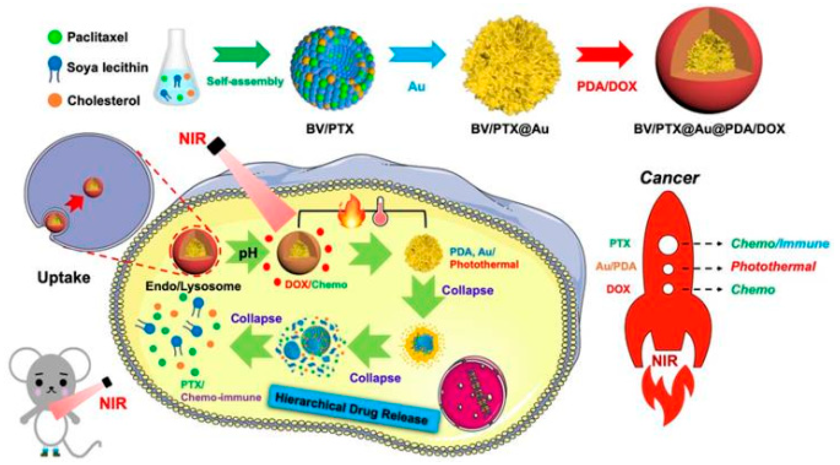 Nanomaterials 10 02276 g016 Nanomaterials 10 02276 g016