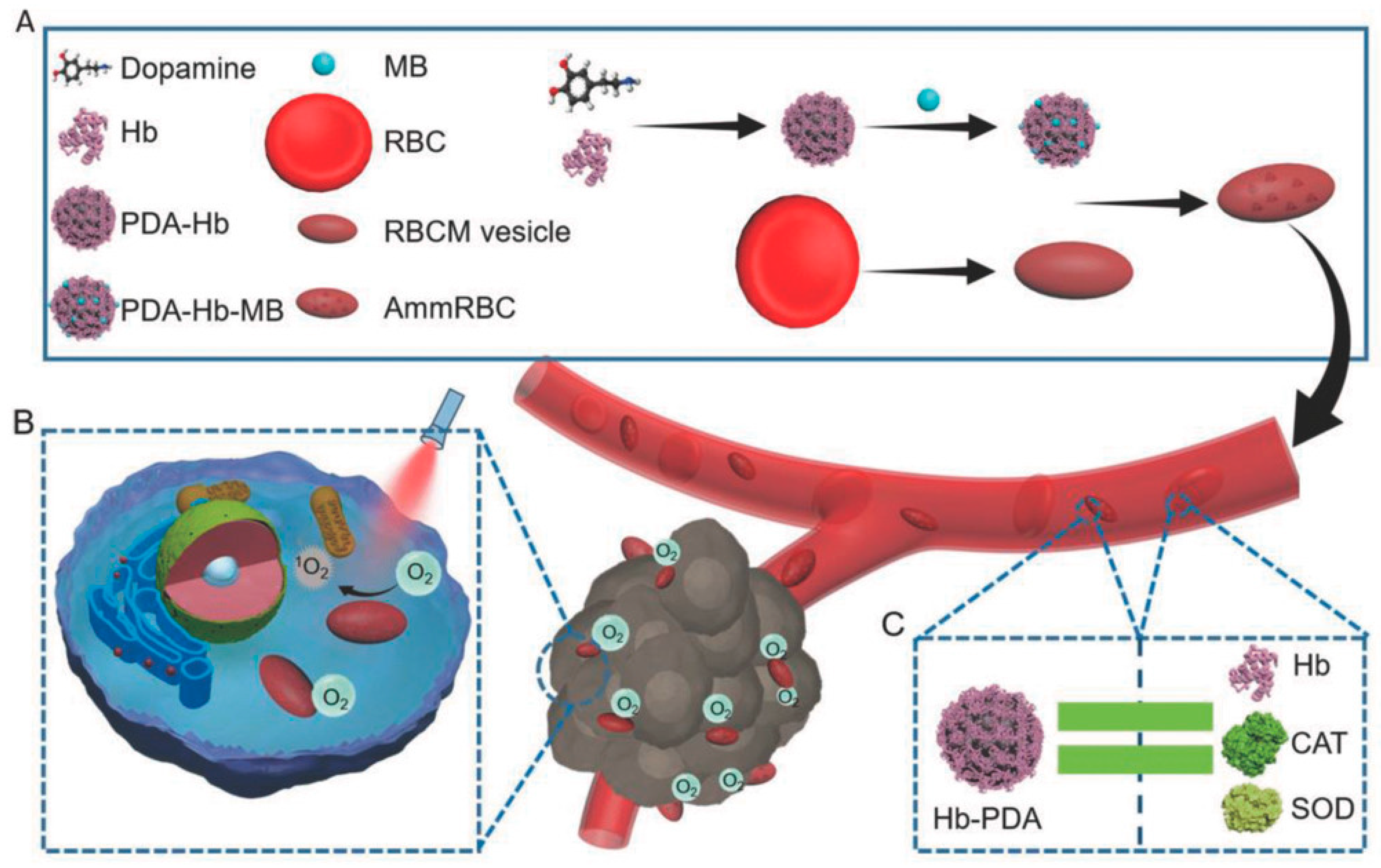 Nanomaterials 10 02276 g017 Nanomaterials 10 02276 g017