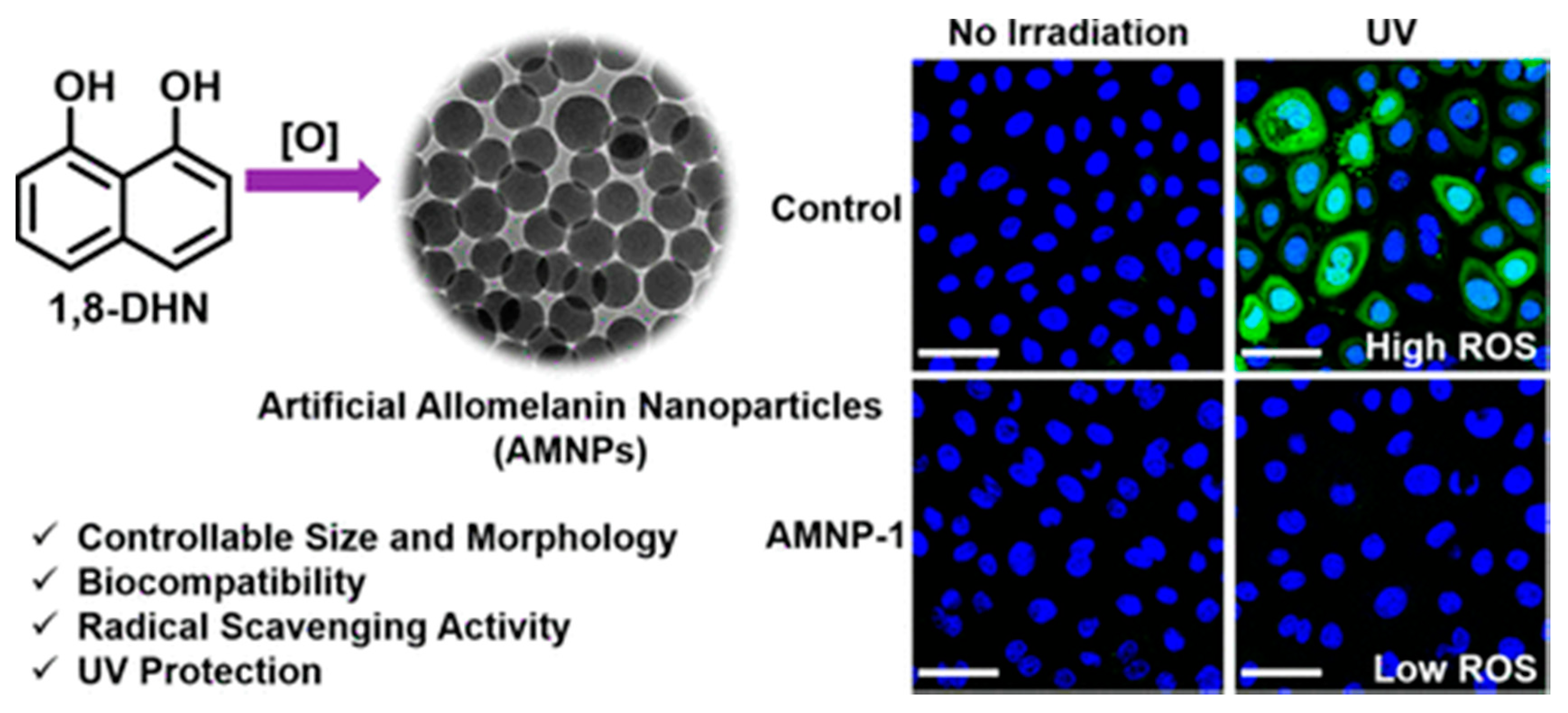 Nanomaterials 10 02276 g019 Nanomaterials 10 02276 g019