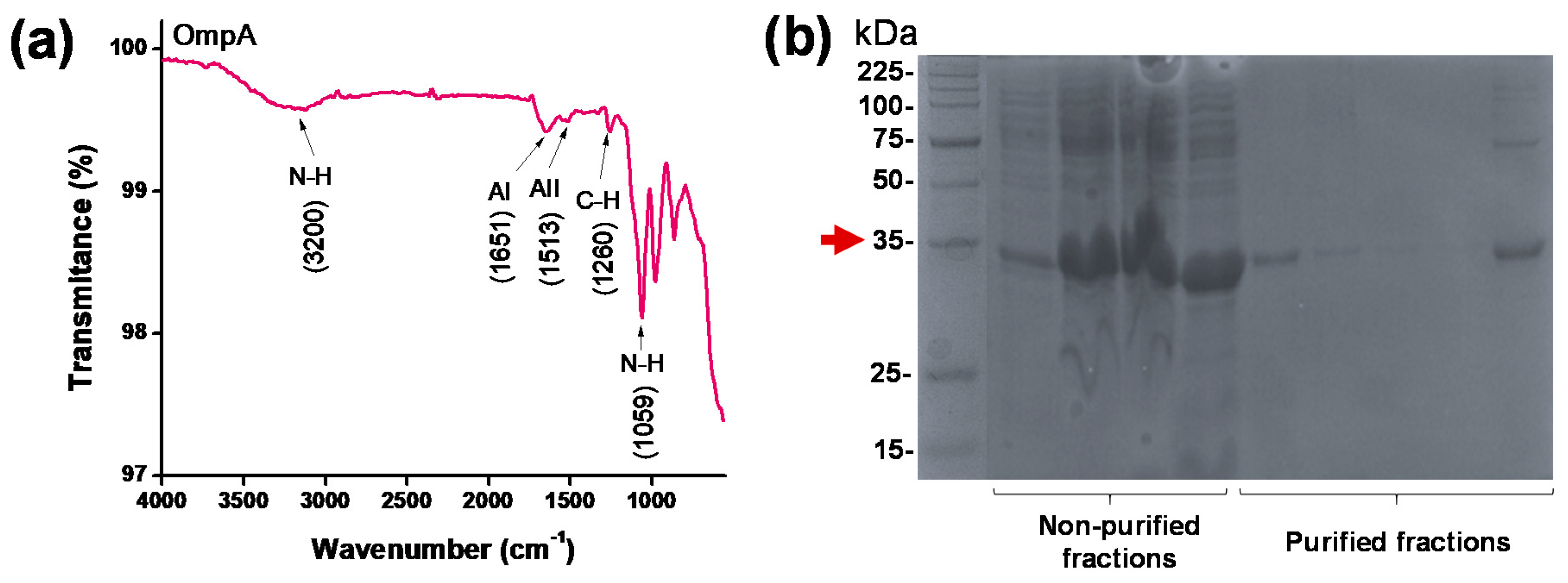 Nanomaterials 10 02278 g001