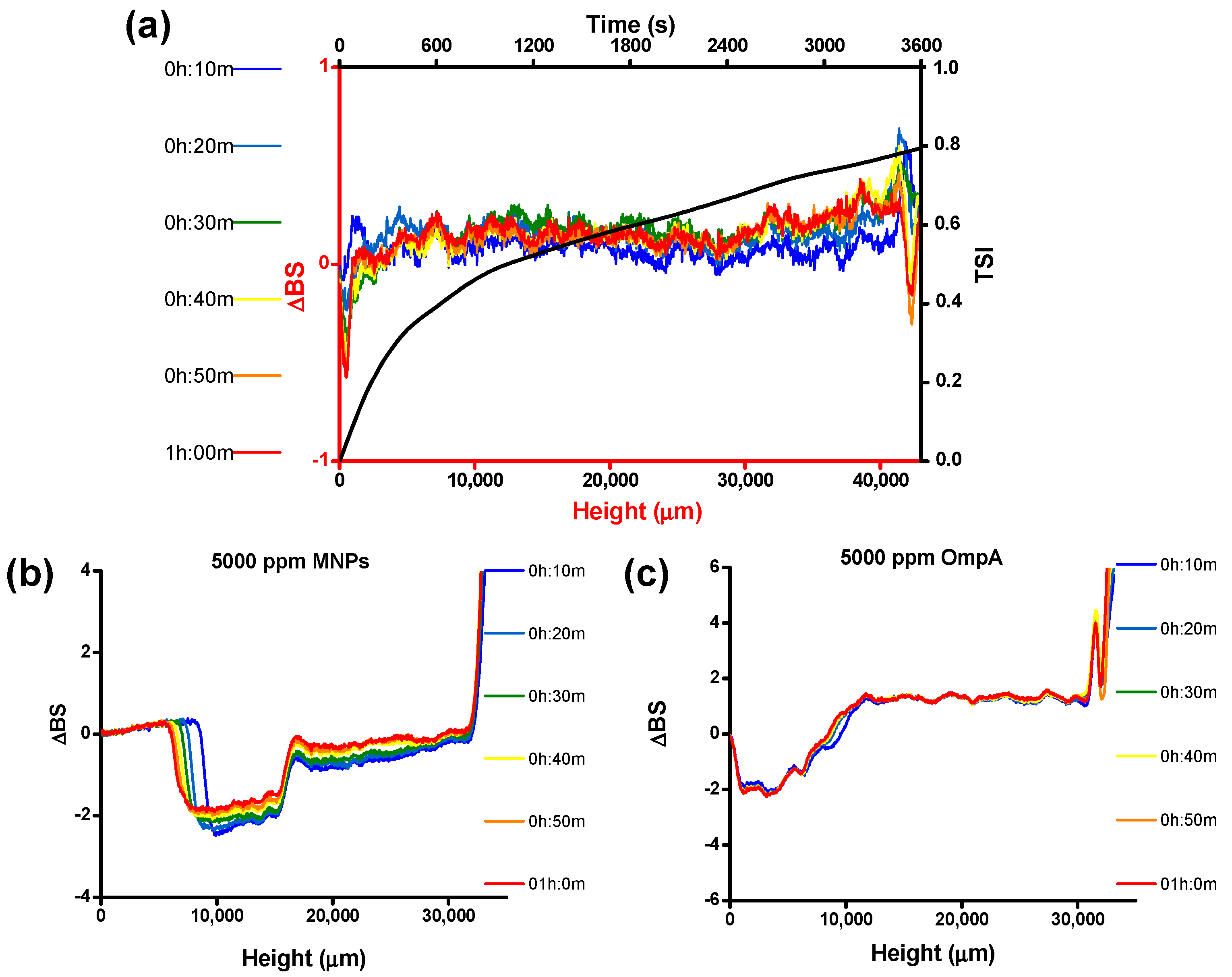 Nanomaterials 10 02278 g004