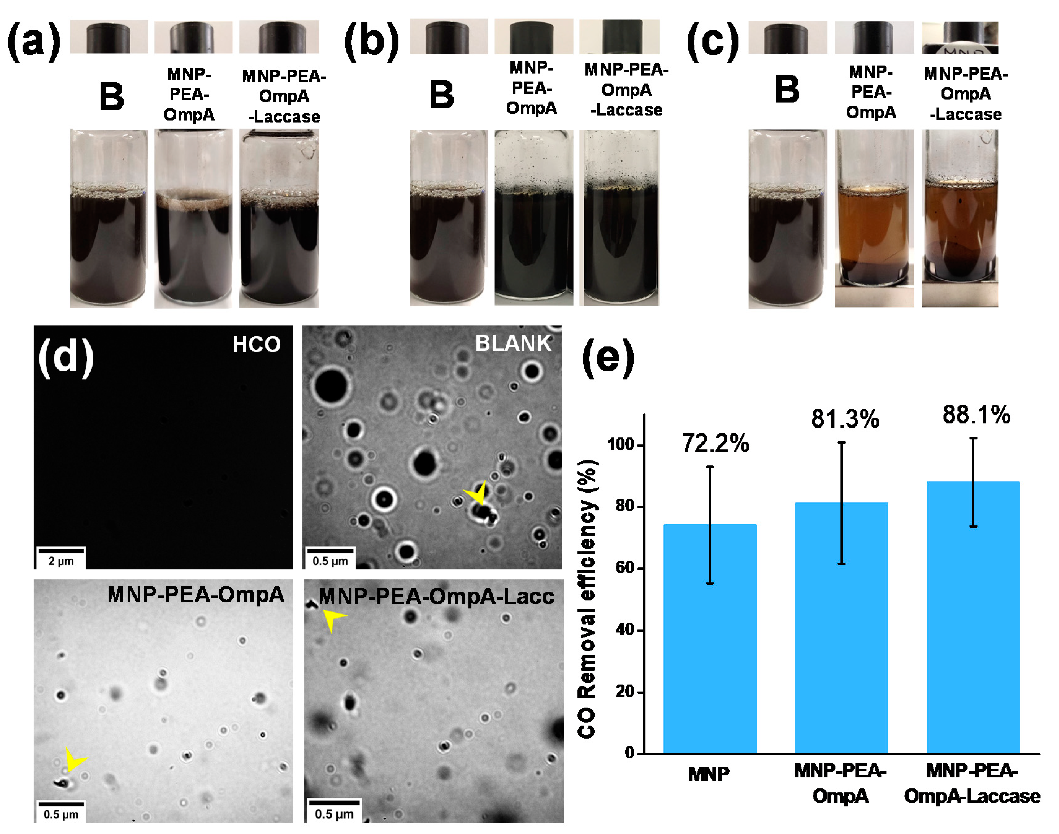 Nanomaterials 10 02278 g005