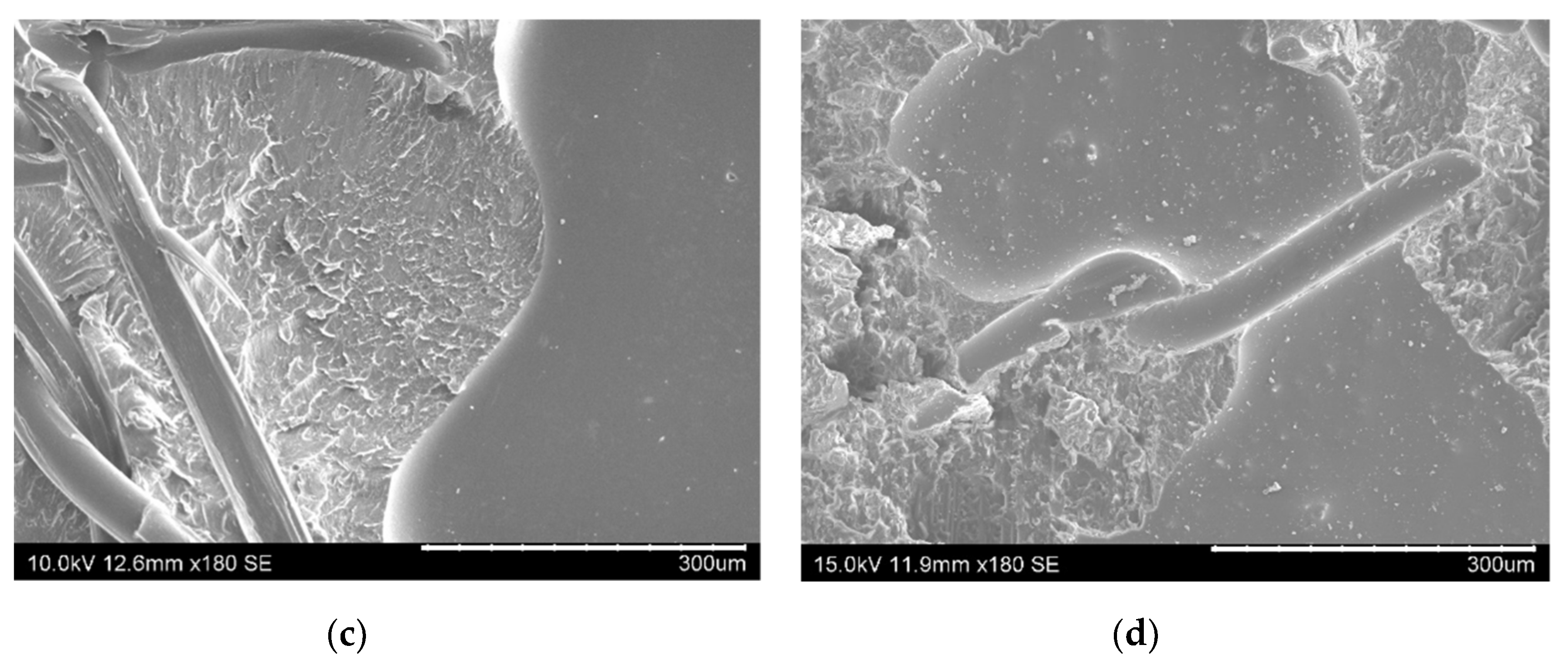 Nanomaterials 10 02290 g005b