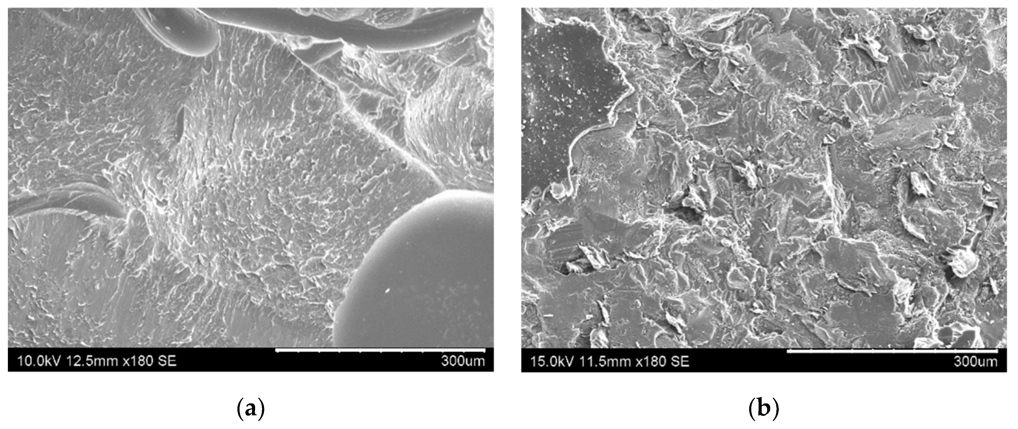 Nanomaterials 10 02290 g009