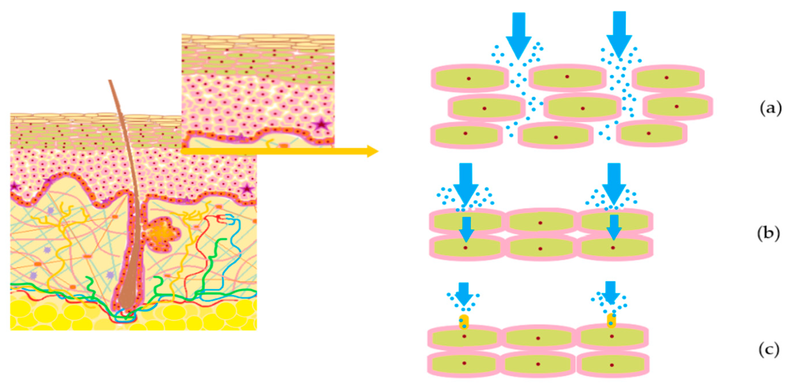 Nanomaterials 10 02292 g003