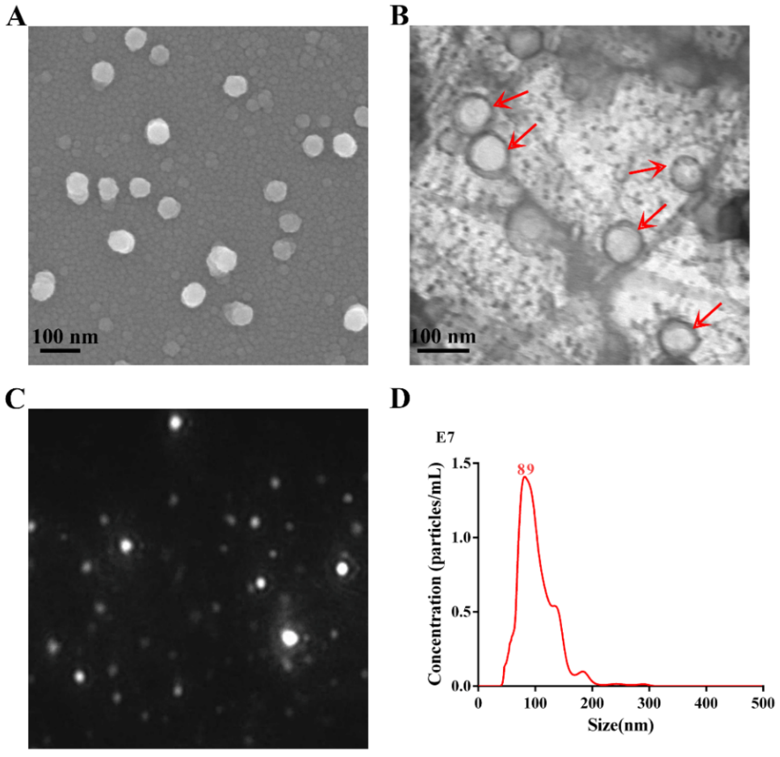 Nanomaterials 10 02293 g001