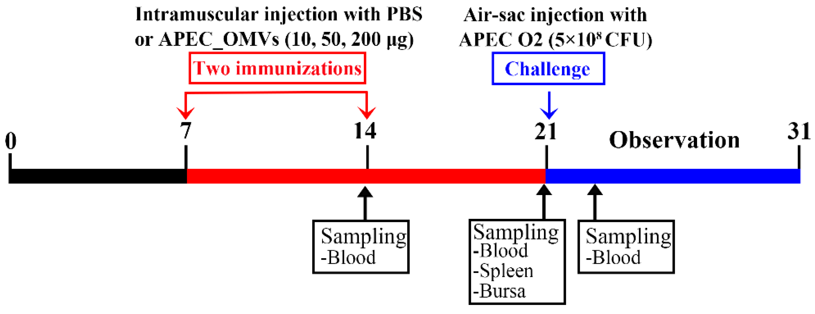 Nanomaterials 10 02293 g003