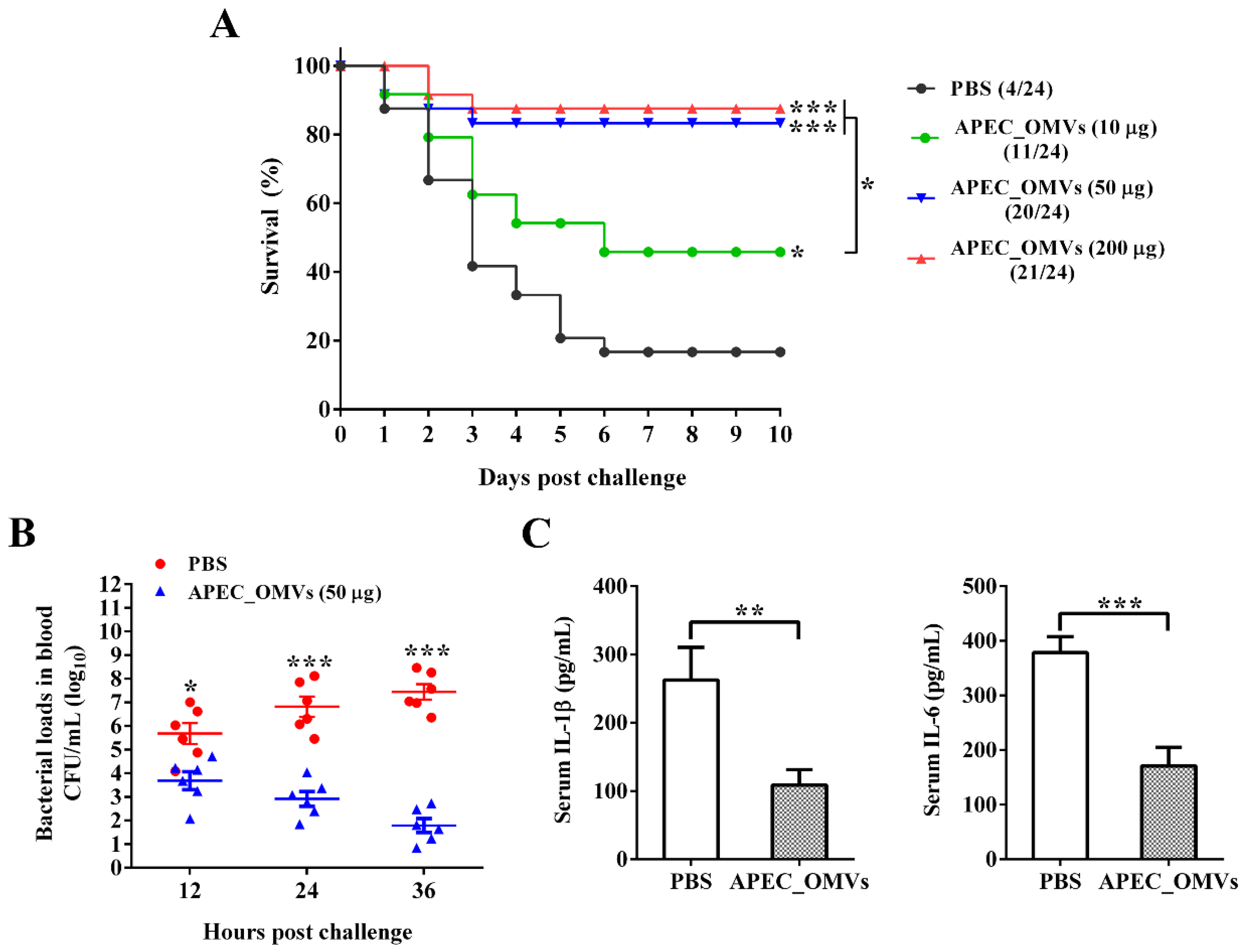 Nanomaterials 10 02293 g004