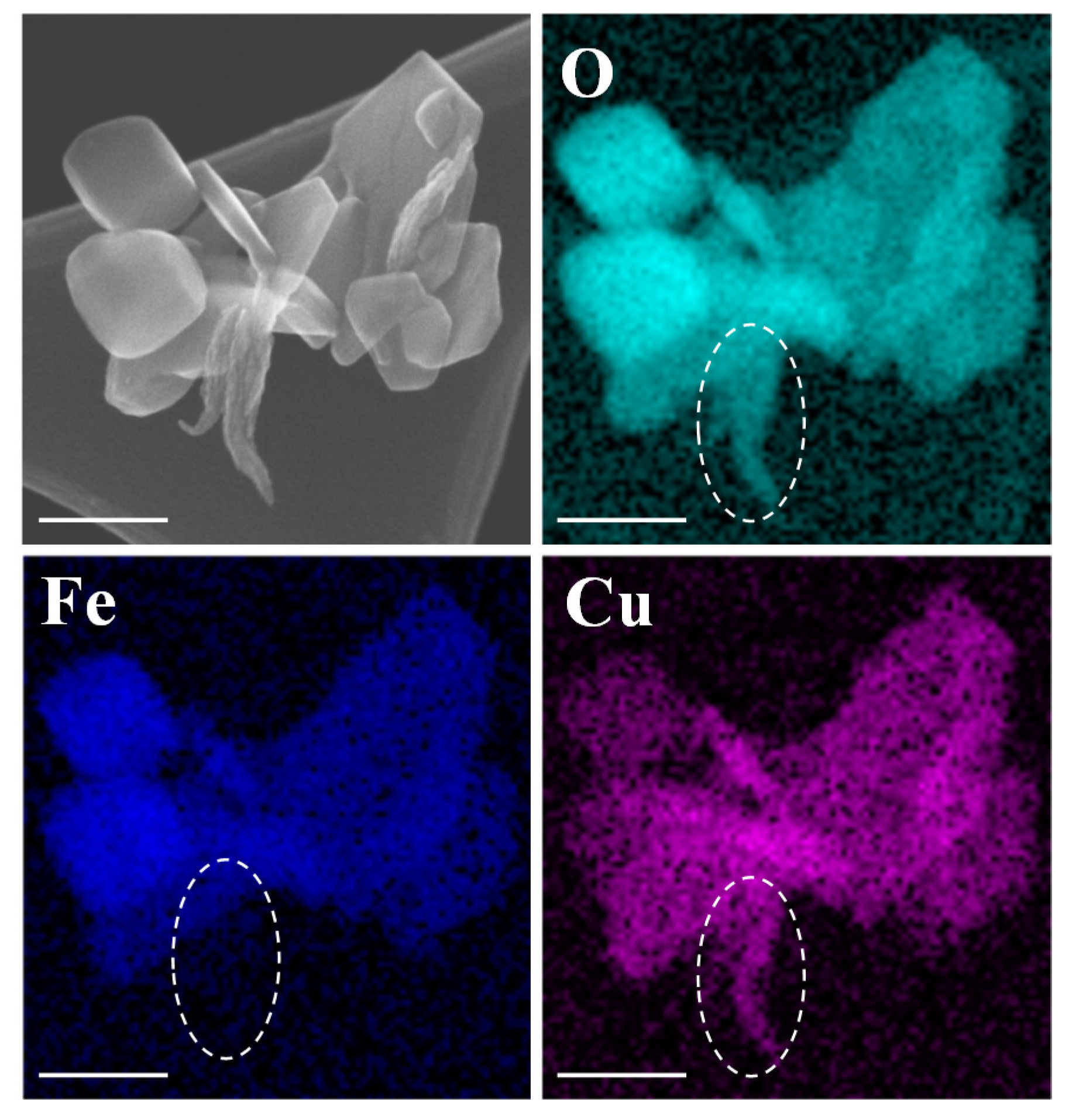 Nanomaterials 10 02294 g004 Nanomaterials 10 02294 g004